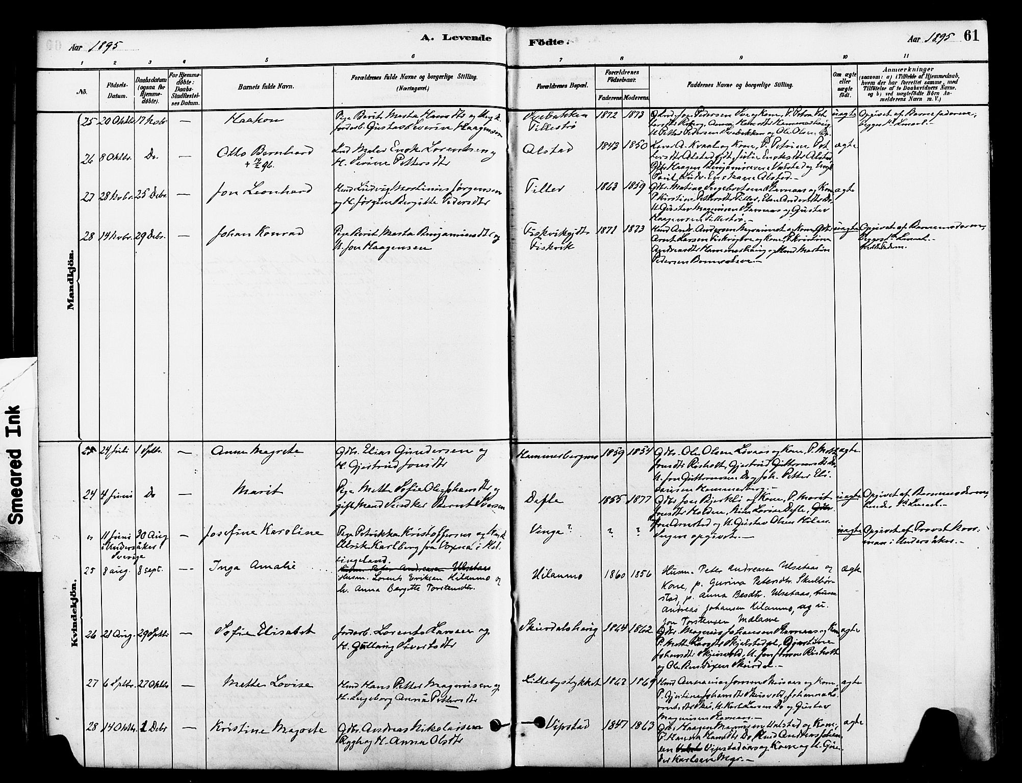 Ministerialprotokoller, klokkerbøker og fødselsregistre - Nord-Trøndelag, AV/SAT-A-1458/712/L0100: Parish register (official) no. 712A01, 1880-1900, p. 61