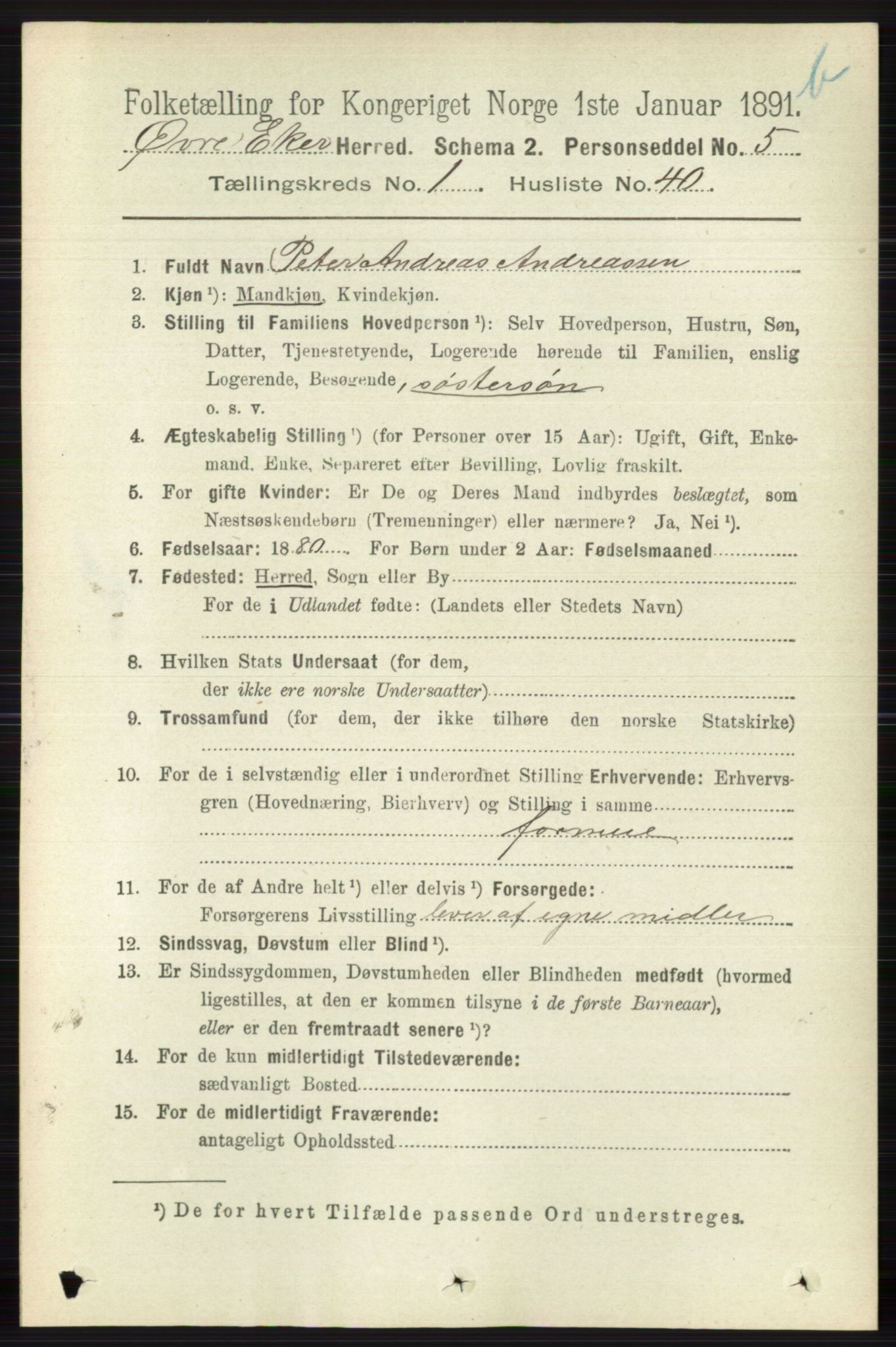 RA, 1891 census for 0624 Øvre Eiker, 1891, p. 8052