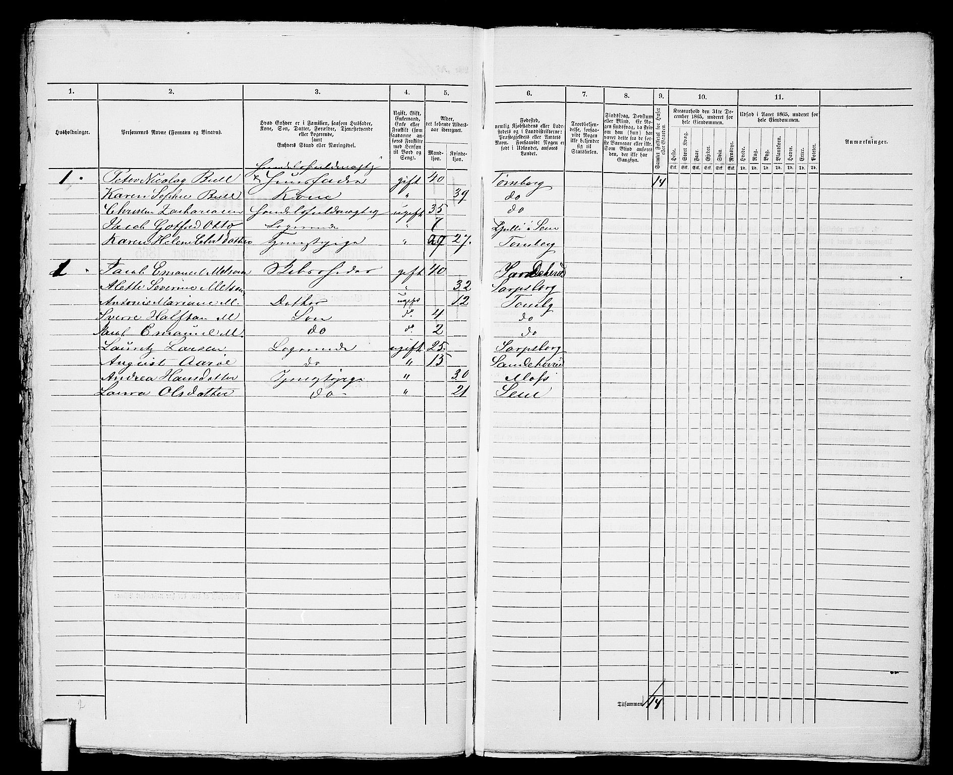 RA, 1865 census for Tønsberg, 1865, p. 355