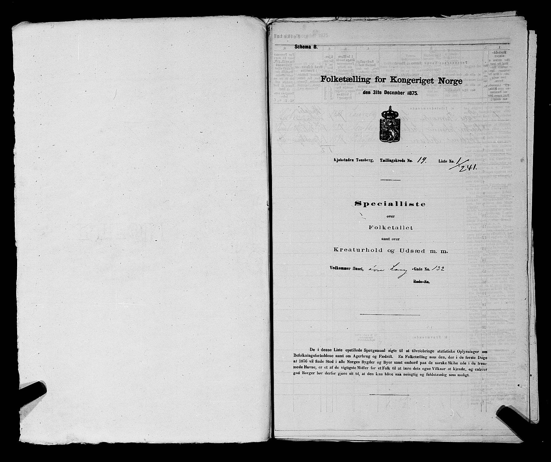 SAKO, 1875 census for 0705P Tønsberg, 1875, p. 594