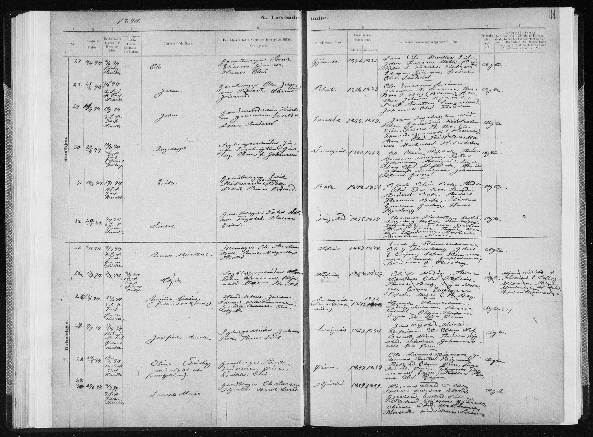 Ministerialprotokoller, klokkerbøker og fødselsregistre - Sør-Trøndelag, AV/SAT-A-1456/668/L0818: Parish register (copy) no. 668C07, 1885-1898, p. 84