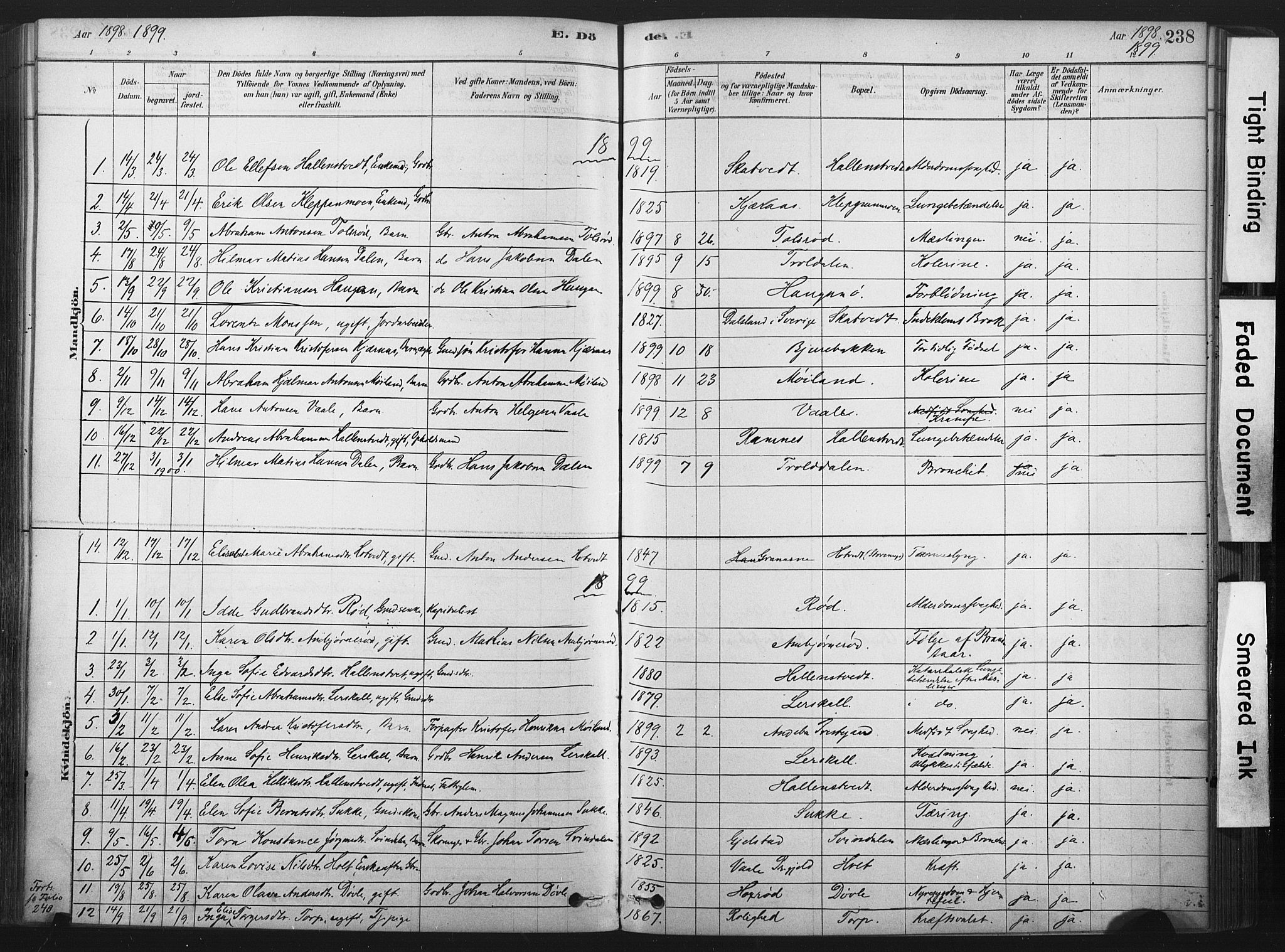 Andebu kirkebøker, SAKO/A-336/F/Fa/L0007: Parish register (official) no. 7, 1878-1899, p. 238