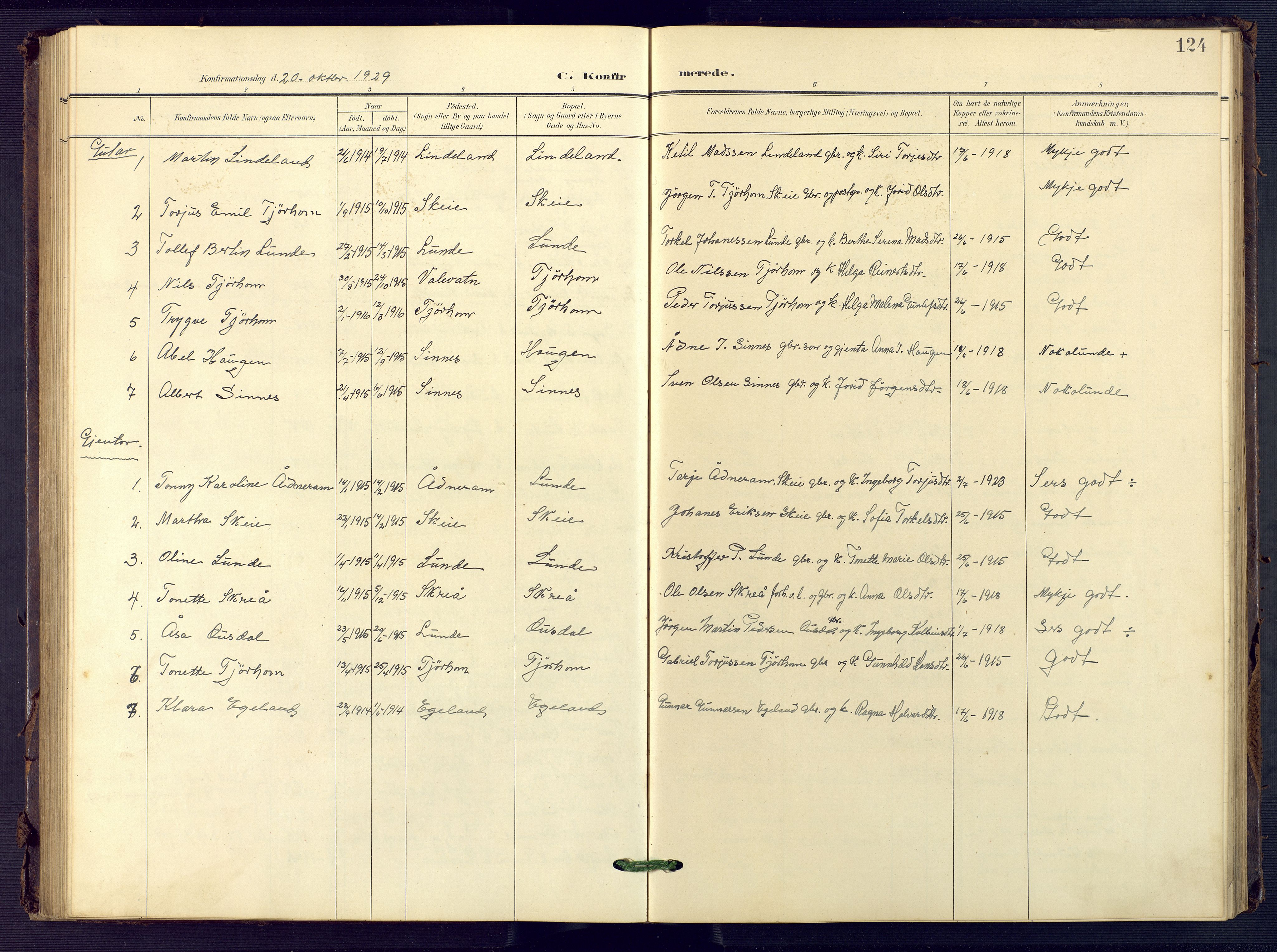 Sirdal sokneprestkontor, AV/SAK-1111-0036/F/Fb/Fba/L0002: Parish register (copy) no. B 2, 1905-1958, p. 124