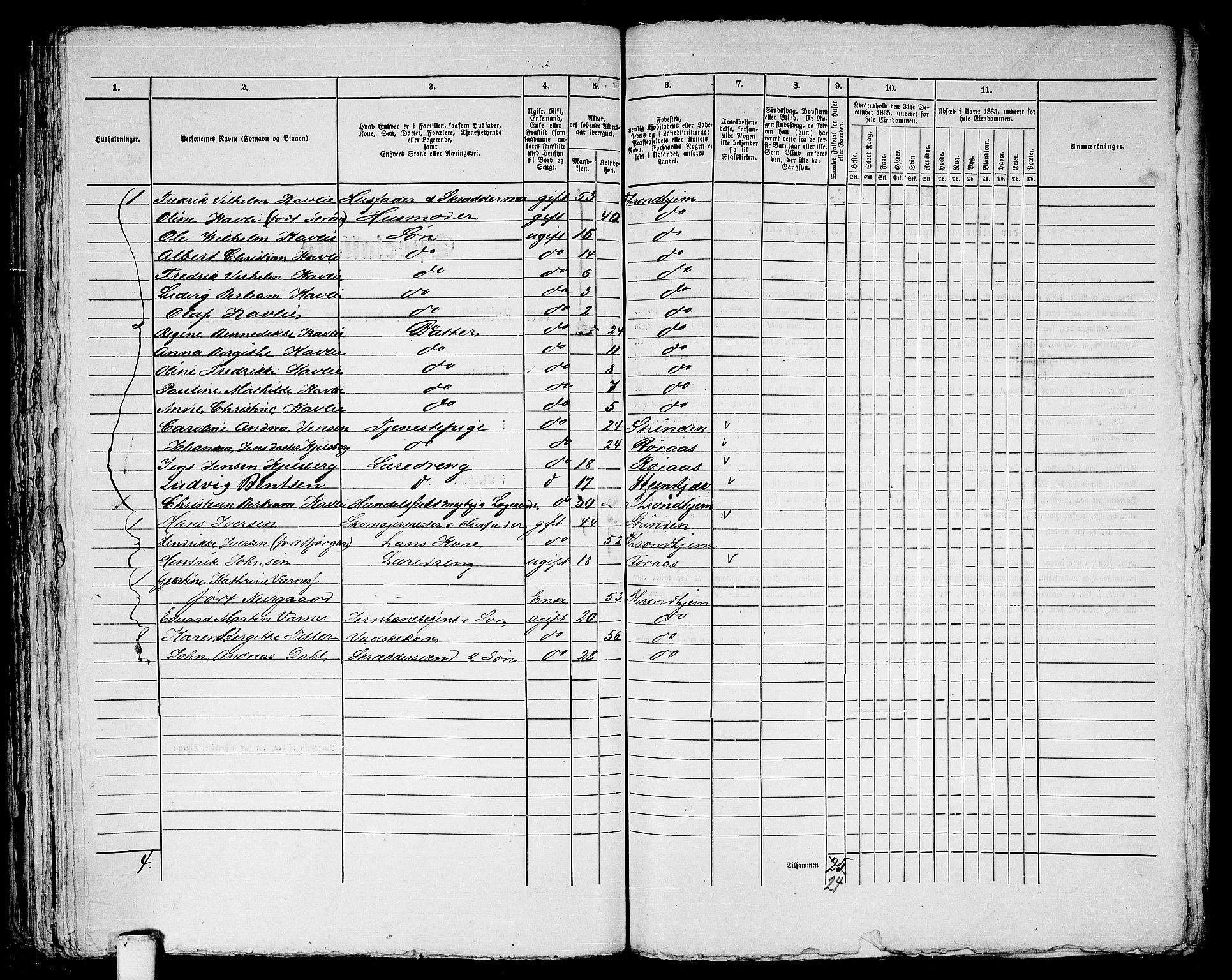 RA, 1865 census for Trondheim, 1865, p. 981