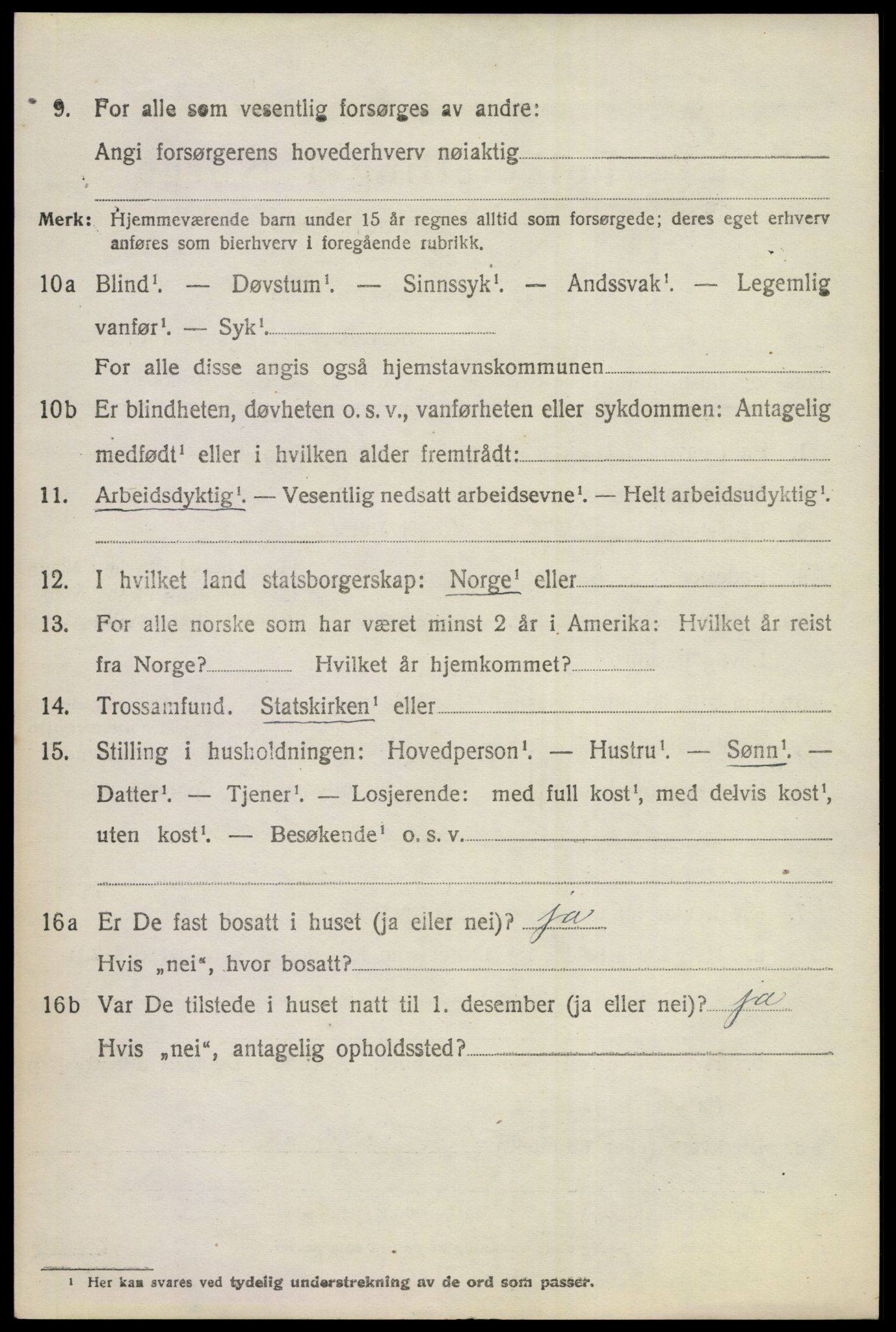 SAKO, 1920 census for Hol (Buskerud), 1920, p. 4938