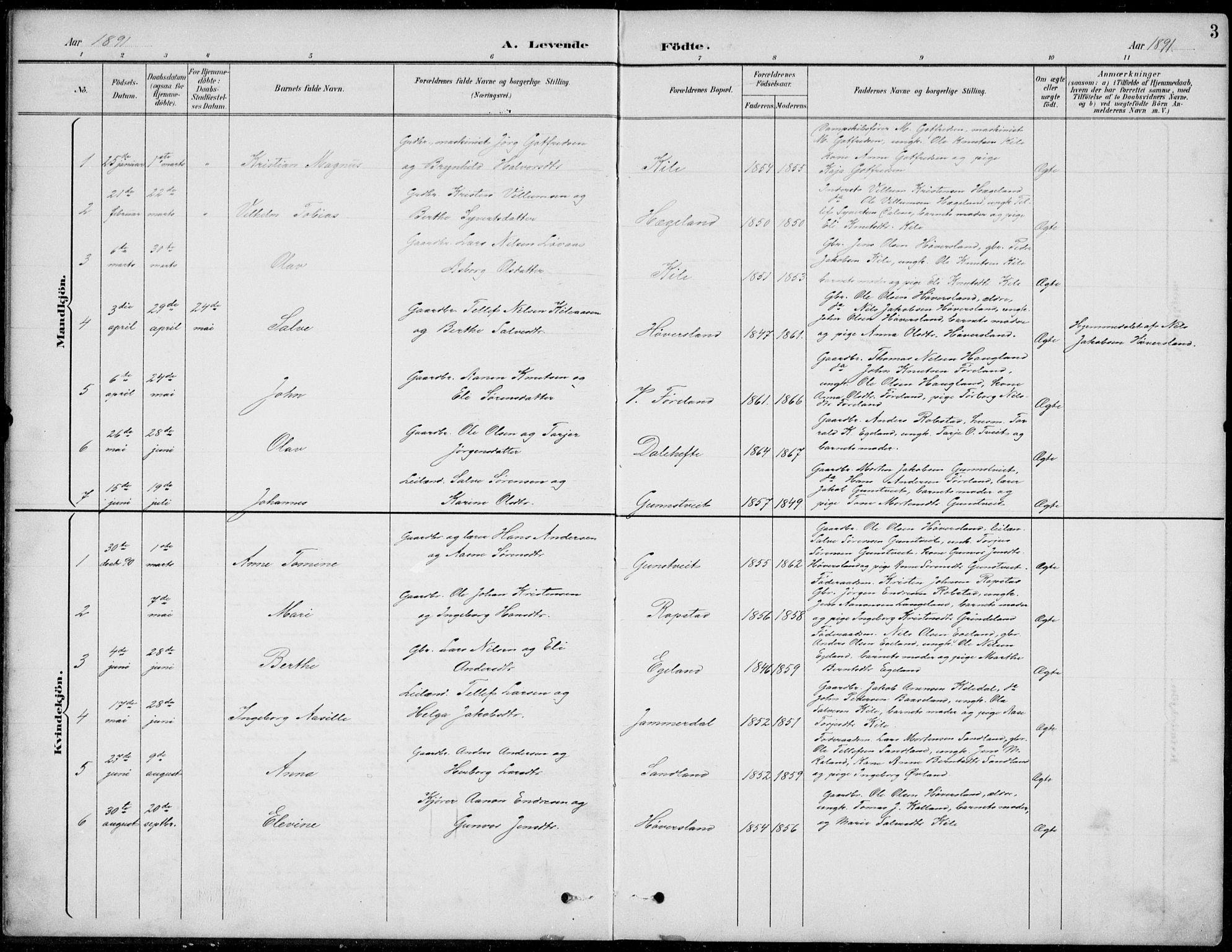 Vennesla sokneprestkontor, AV/SAK-1111-0045/Fb/Fba/L0003: Parish register (copy) no. B 3, 1890-1919, p. 3