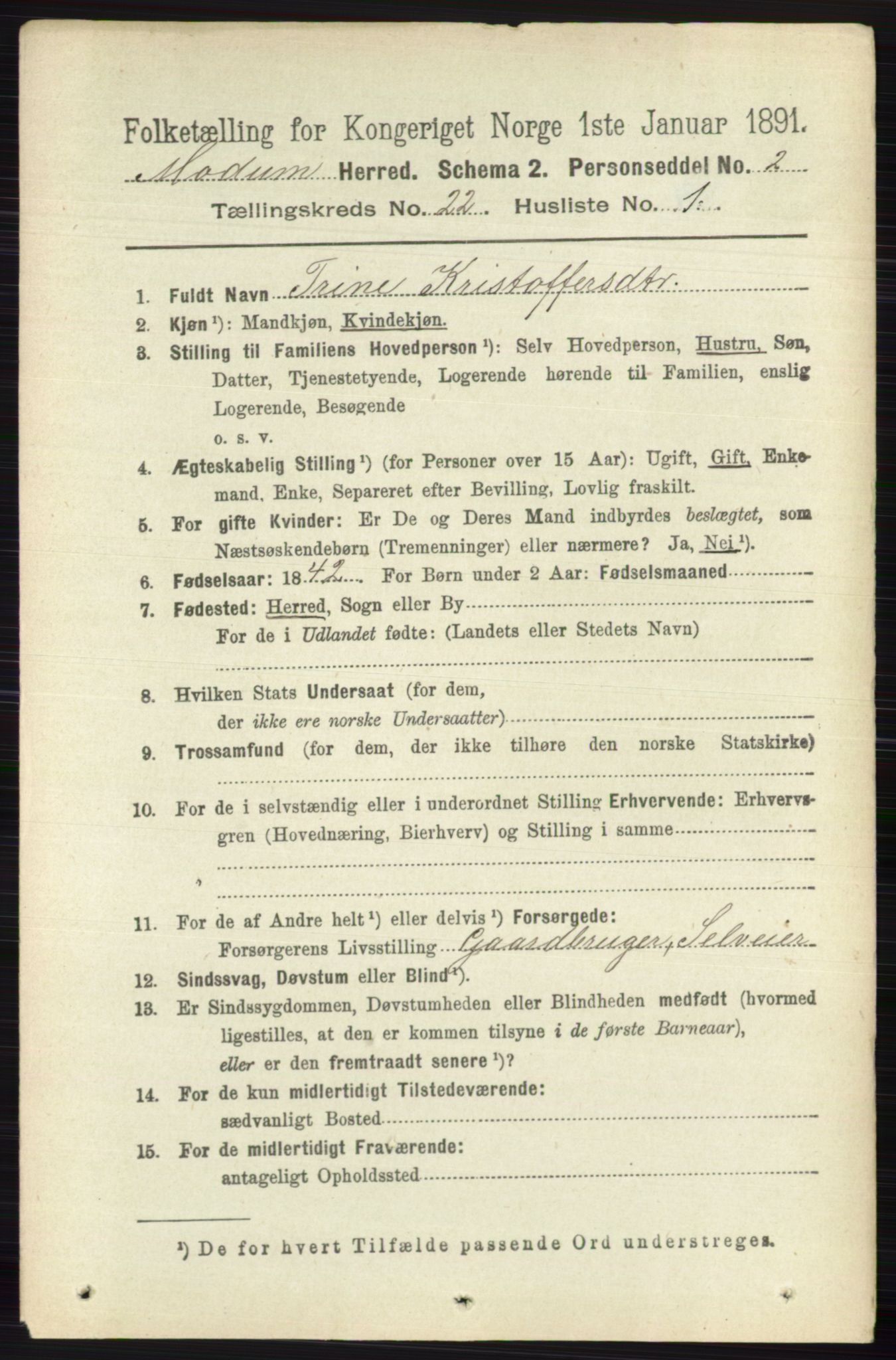 RA, 1891 census for 0623 Modum, 1891, p. 8390