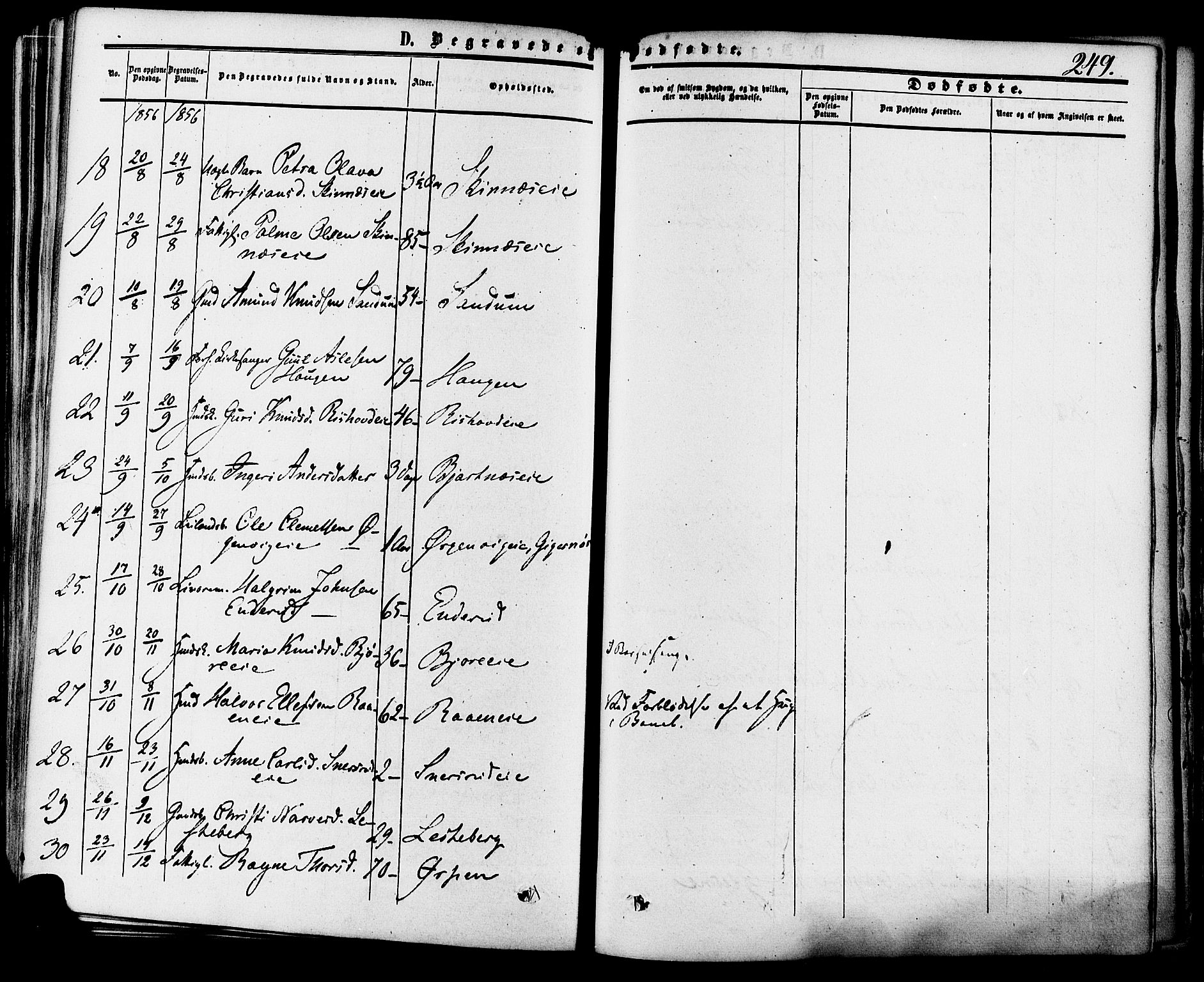 Krødsherad kirkebøker, AV/SAKO-A-19/F/Fa/L0003: Parish register (official) no. 3, 1851-1872, p. 249