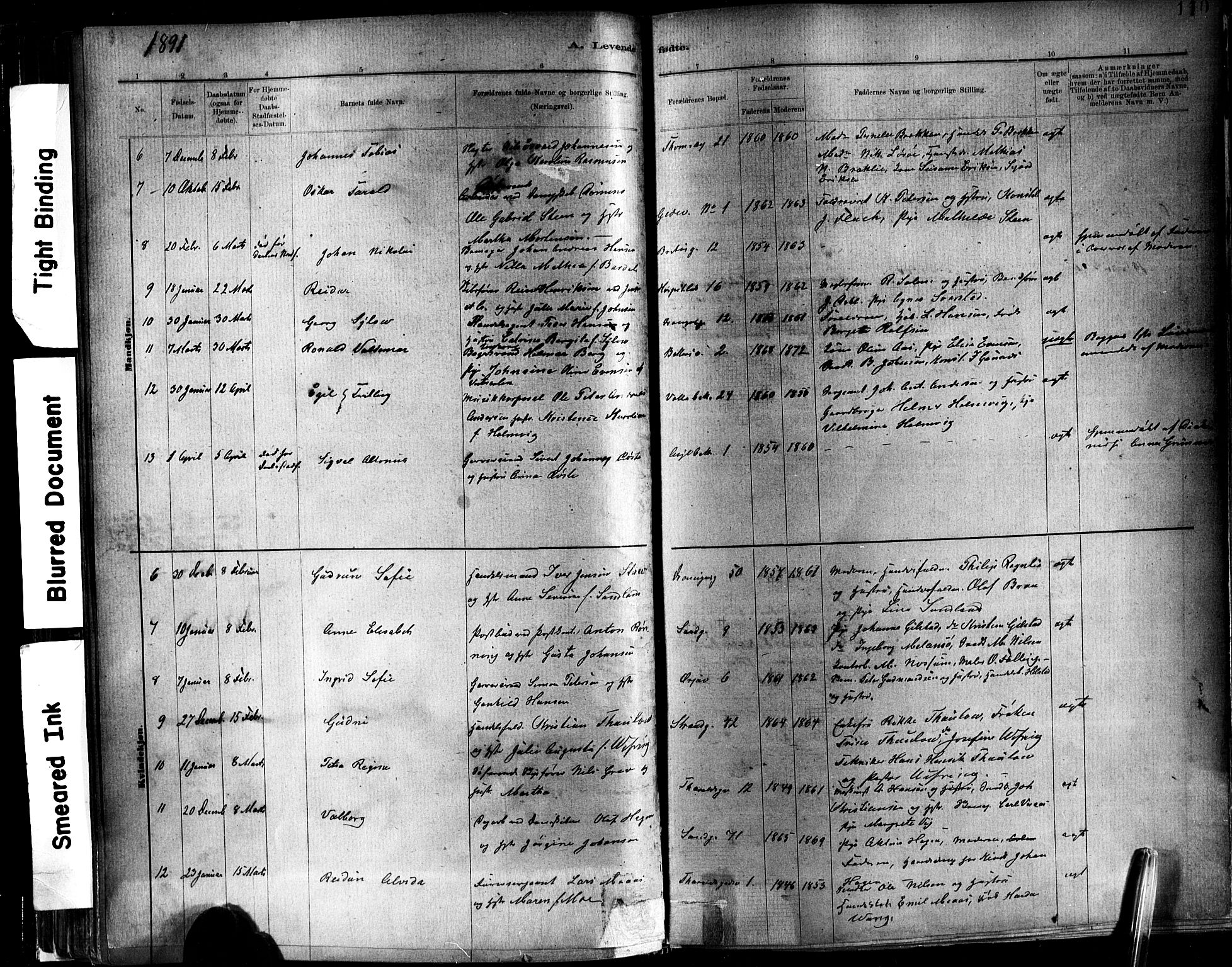 Ministerialprotokoller, klokkerbøker og fødselsregistre - Sør-Trøndelag, SAT/A-1456/602/L0119: Parish register (official) no. 602A17, 1880-1901, p. 110