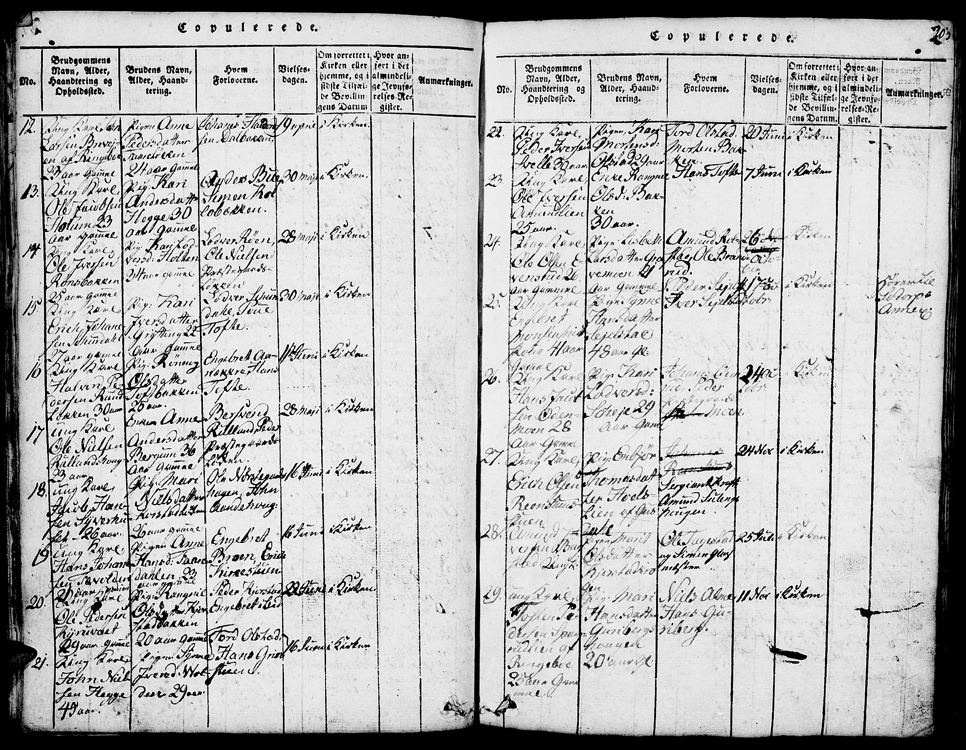 Fron prestekontor, SAH/PREST-078/H/Ha/Hab/L0001: Parish register (copy) no. 1, 1816-1843, p. 205