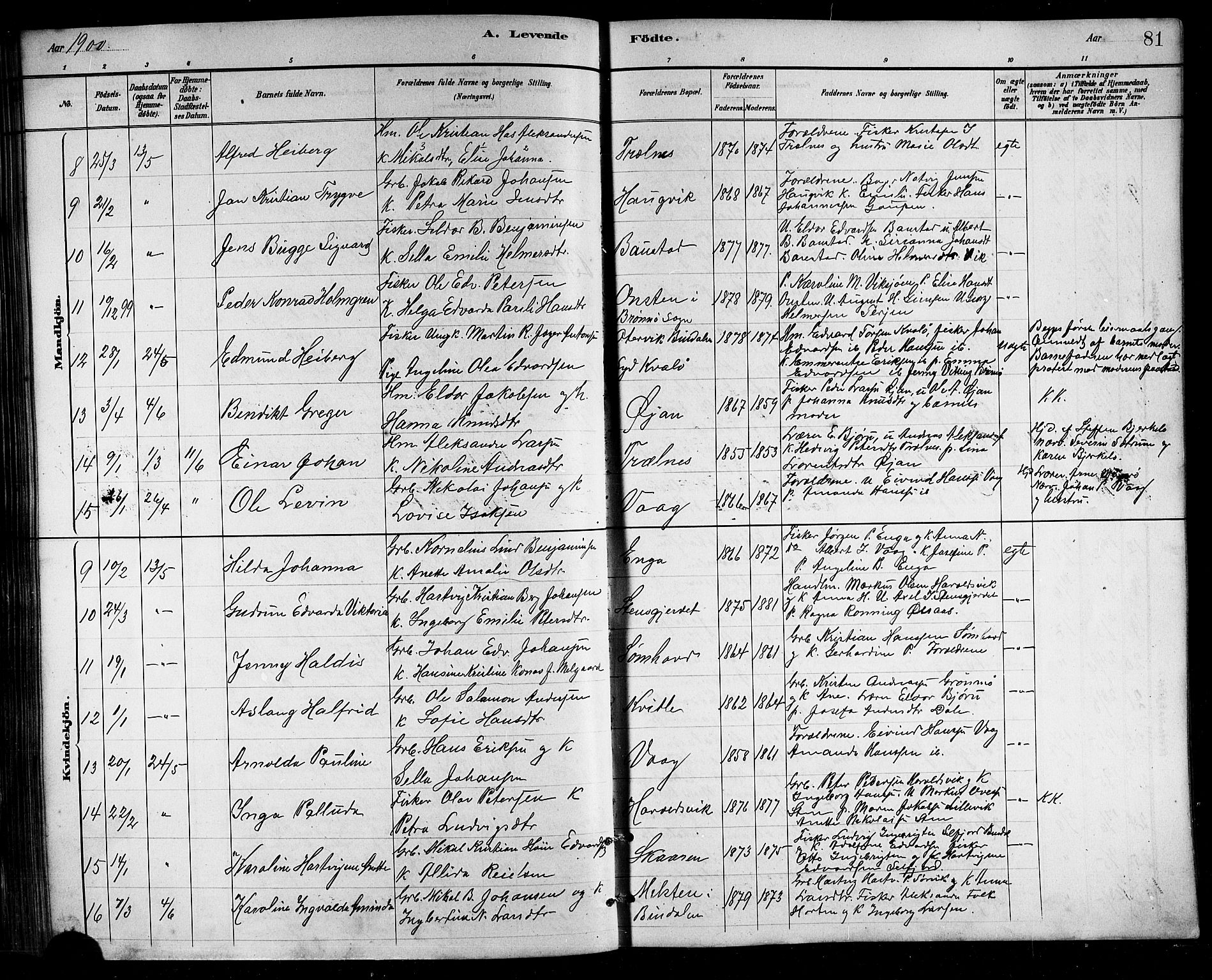 Ministerialprotokoller, klokkerbøker og fødselsregistre - Nordland, SAT/A-1459/812/L0188: Parish register (copy) no. 812C06, 1884-1912, p. 81