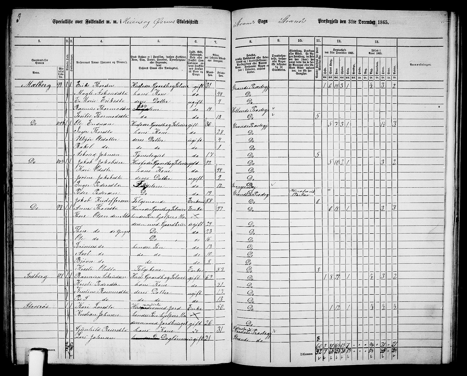 RA, 1865 census for Strand, 1865, p. 59