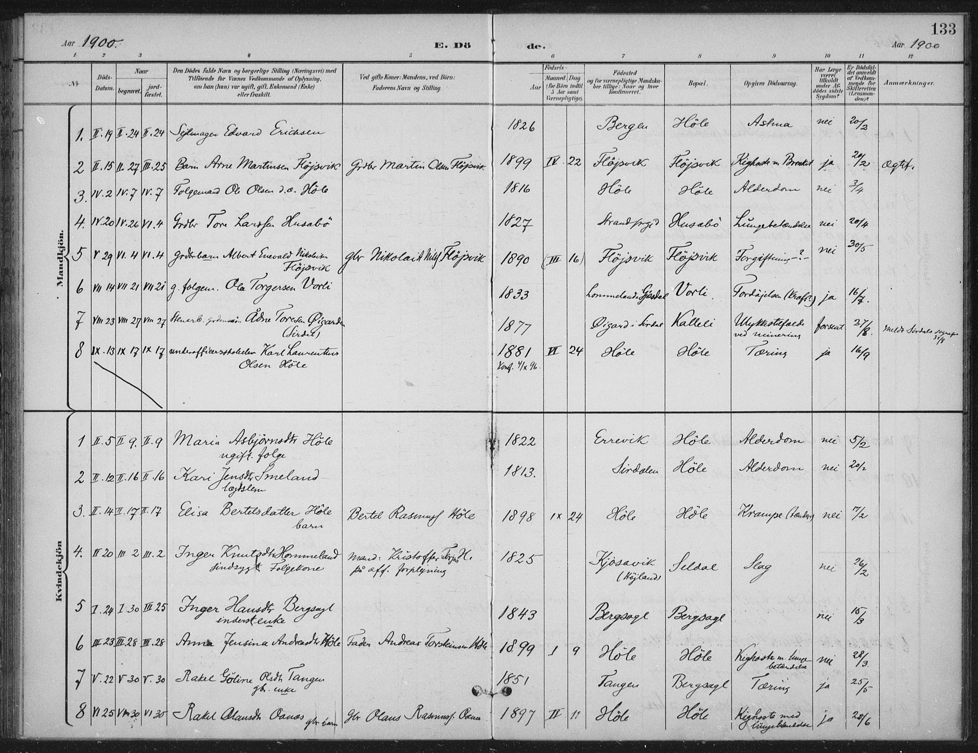 Høgsfjord sokneprestkontor, SAST/A-101624/H/Ha/Haa/L0008: Parish register (official) no. A 8, 1898-1920, p. 133
