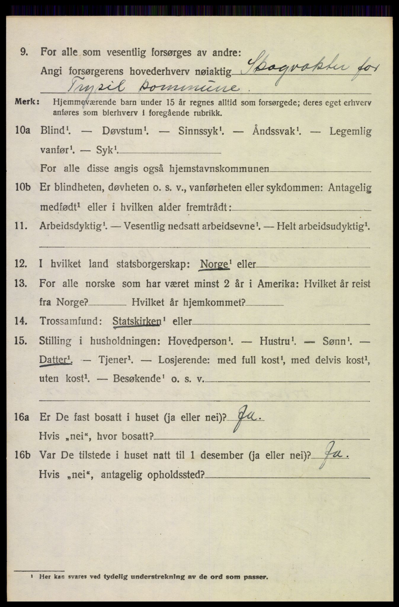 SAH, 1920 census for Trysil, 1920, p. 7062