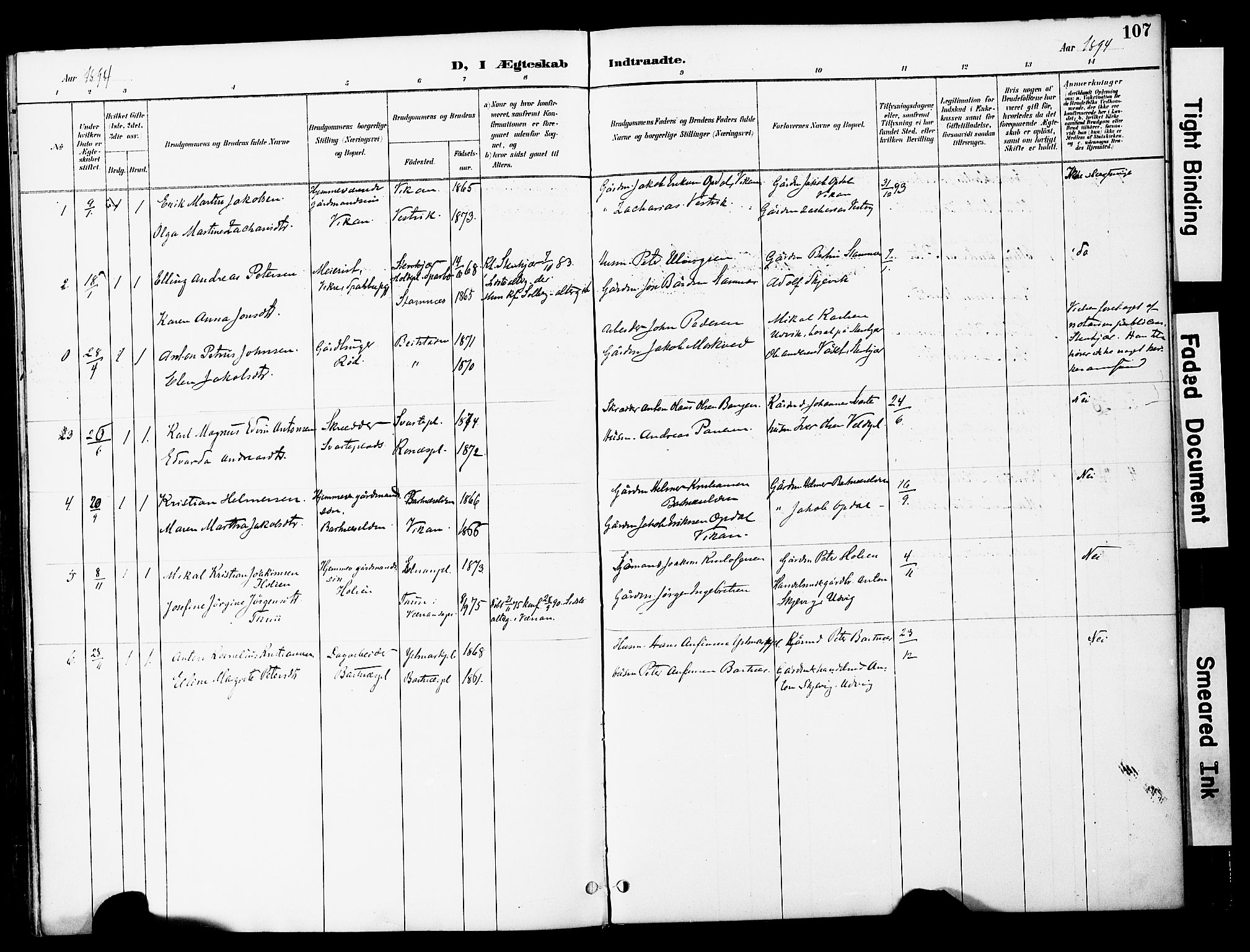 Ministerialprotokoller, klokkerbøker og fødselsregistre - Nord-Trøndelag, AV/SAT-A-1458/741/L0396: Parish register (official) no. 741A10, 1889-1901, p. 107