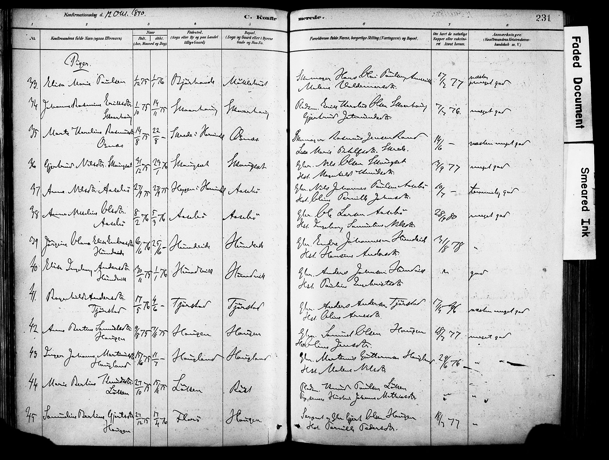 Eid sokneprestembete, SAB/A-82301/H/Haa/Haab/L0001: Parish register (official) no. B 1, 1879-1906, p. 231