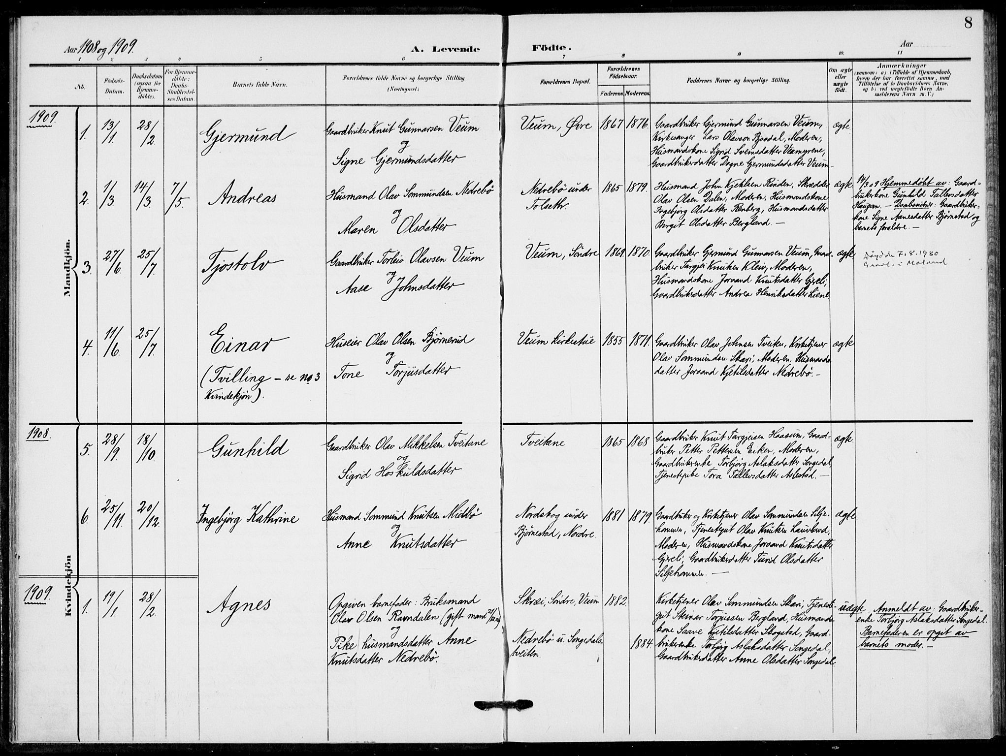 Fyresdal kirkebøker, AV/SAKO-A-263/F/Fb/L0004: Parish register (official) no. II 4, 1903-1920, p. 8