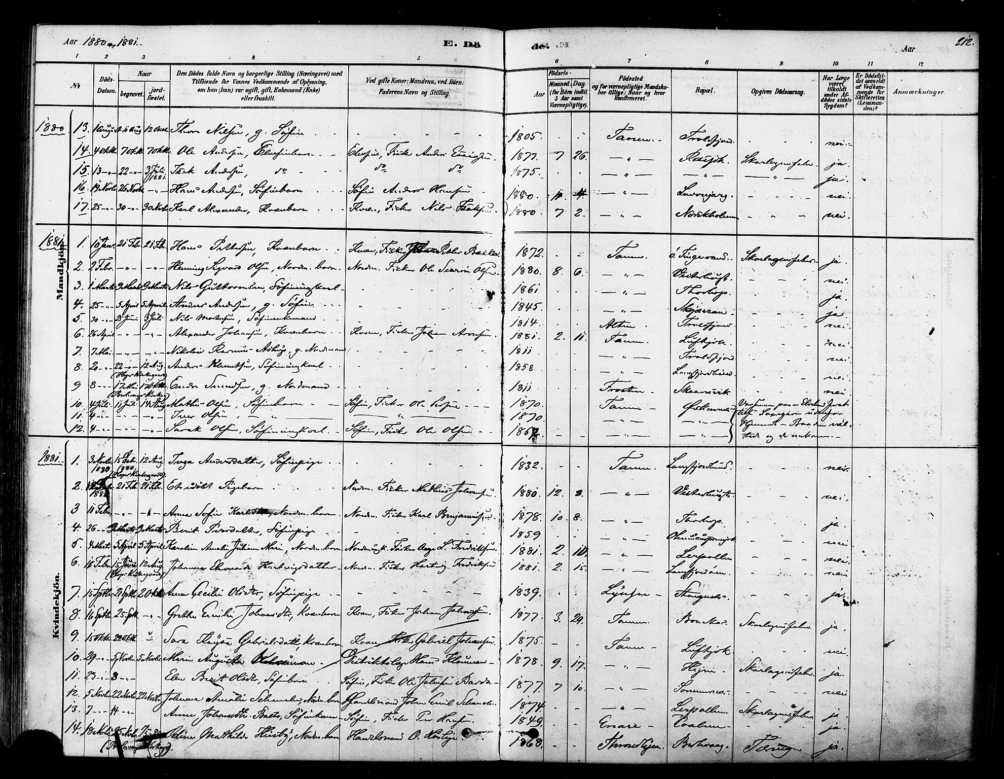 Tana sokneprestkontor, SATØ/S-1334/H/Ha/L0004kirke: Parish register (official) no. 4, 1878-1891, p. 212
