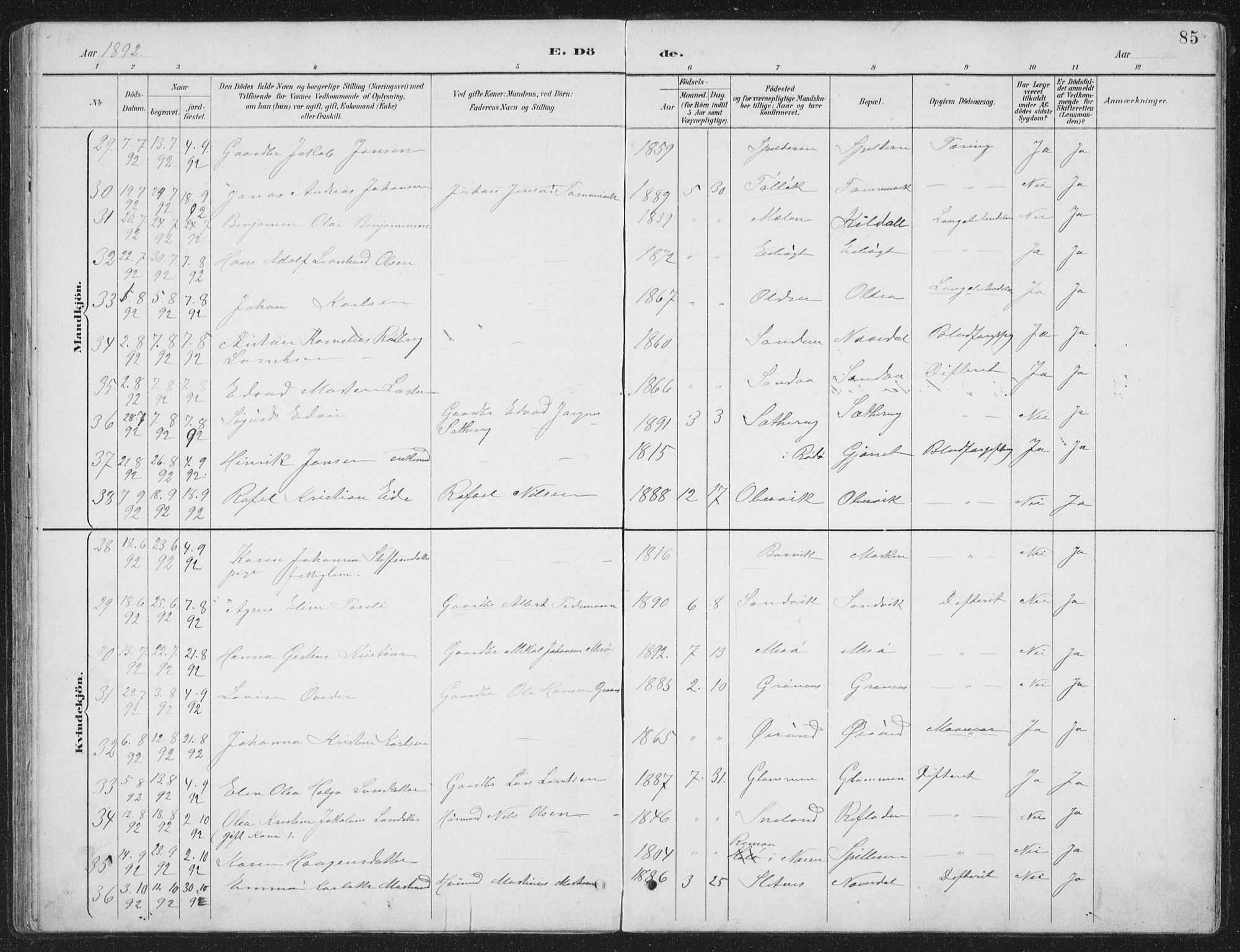 Ministerialprotokoller, klokkerbøker og fødselsregistre - Nordland, AV/SAT-A-1459/843/L0638: Parish register (copy) no. 843C07, 1888-1907, p. 85