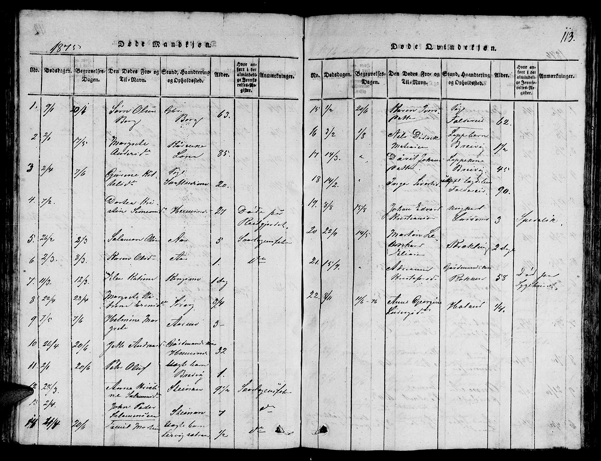 Ministerialprotokoller, klokkerbøker og fødselsregistre - Nord-Trøndelag, SAT/A-1458/780/L0648: Parish register (copy) no. 780C01 /3, 1815-1877, p. 113