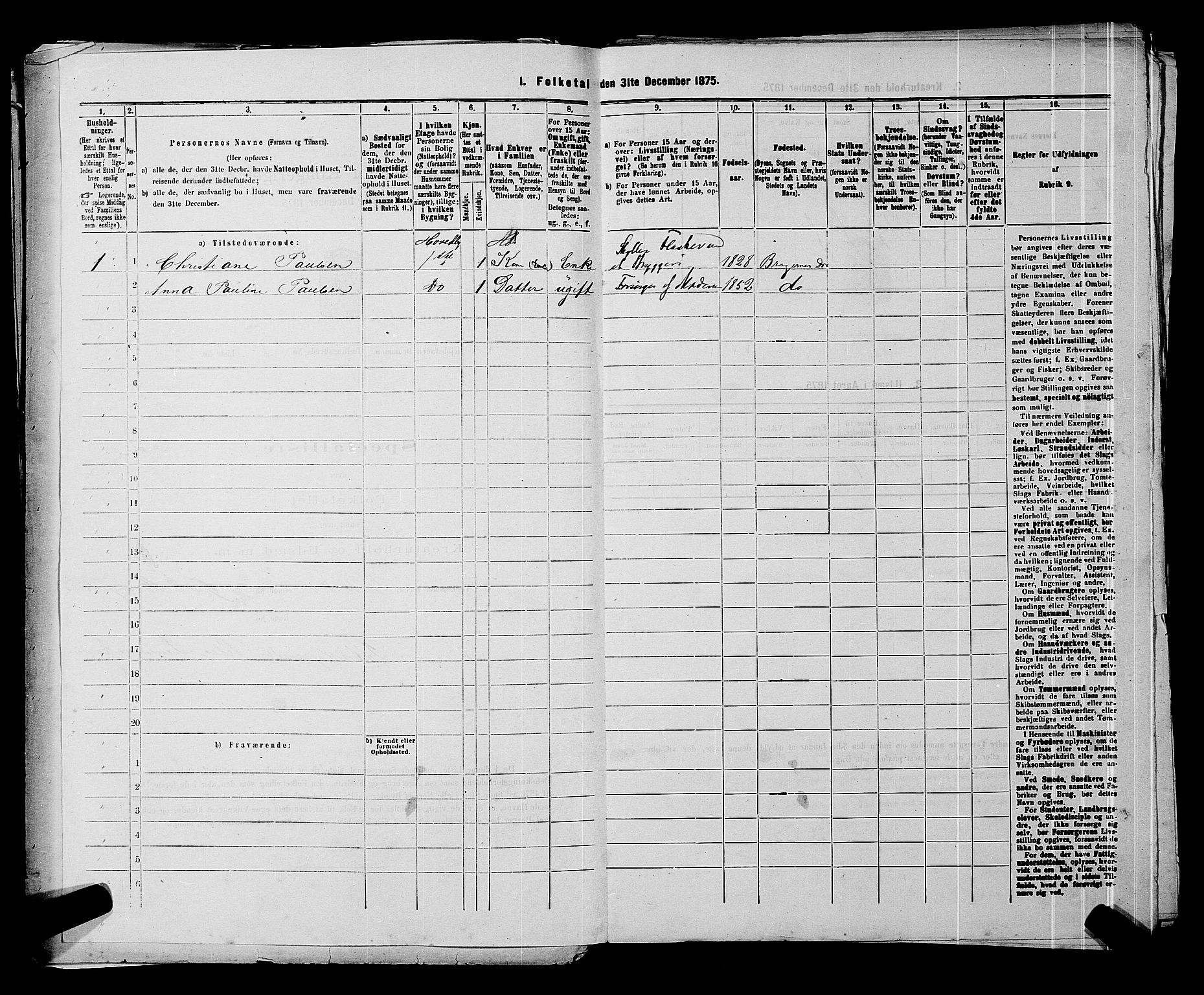 SAKO, 1875 census for 0602 Drammen, 1875, p. 432