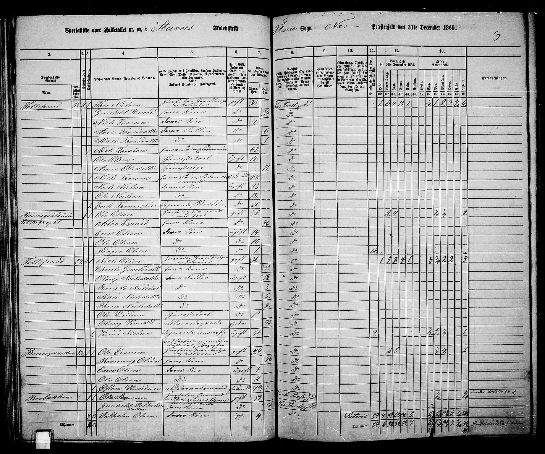 RA, 1865 census for Nes, 1865, p. 81