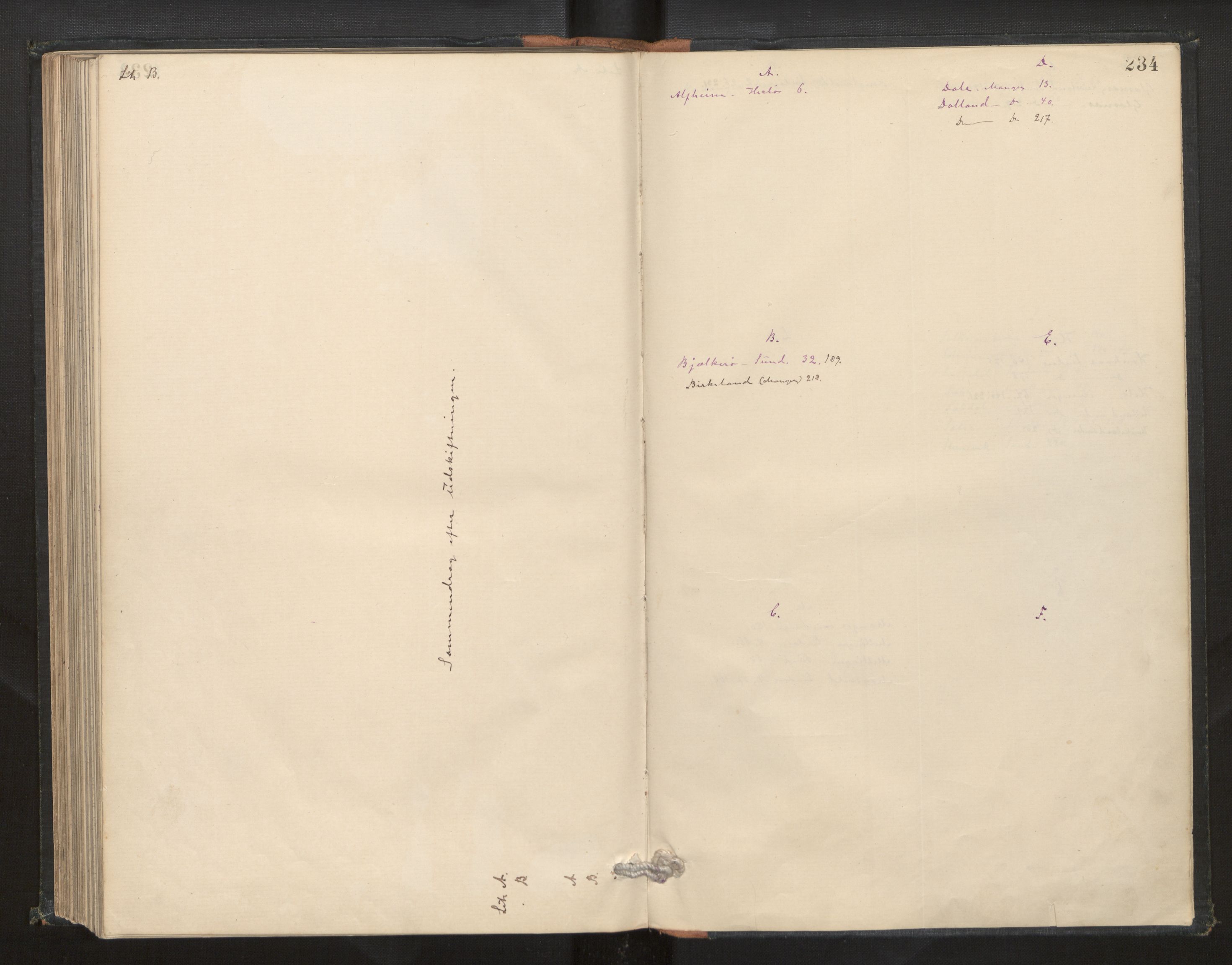 Hordaland jordskiftedøme - II Ytre Nordhordland jordskiftedistrikt, AV/SAB-A-6901/A/Aa/L0003: Forhandlingsprotokoll, 1885-1887, p. 233b-234a