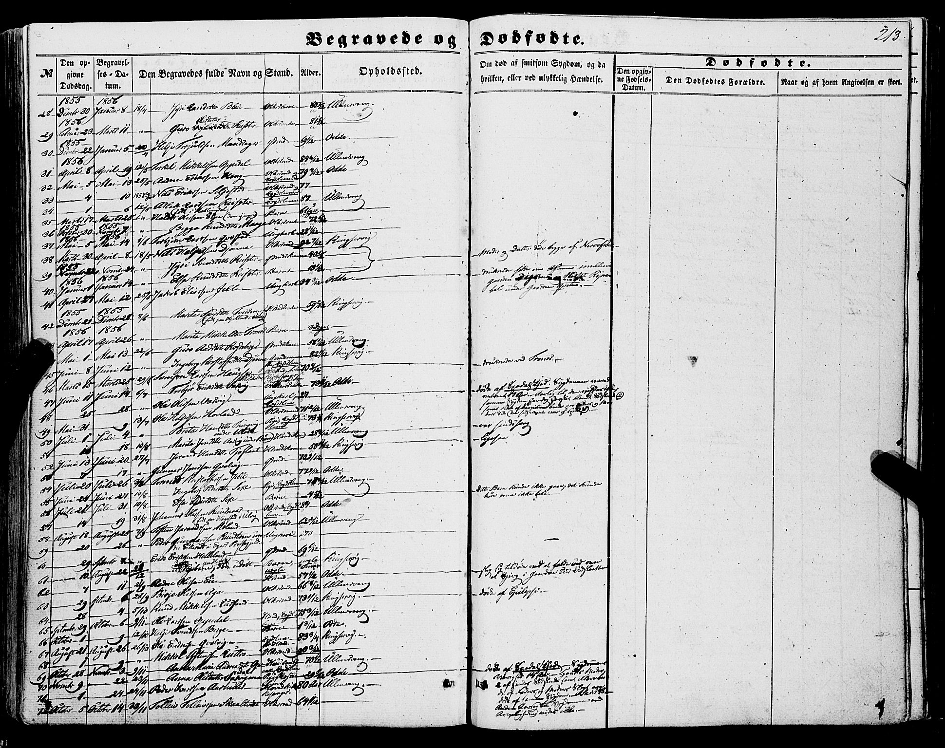 Ullensvang sokneprestembete, SAB/A-78701/H/Haa: Parish register (official) no. A 11, 1854-1866, p. 213