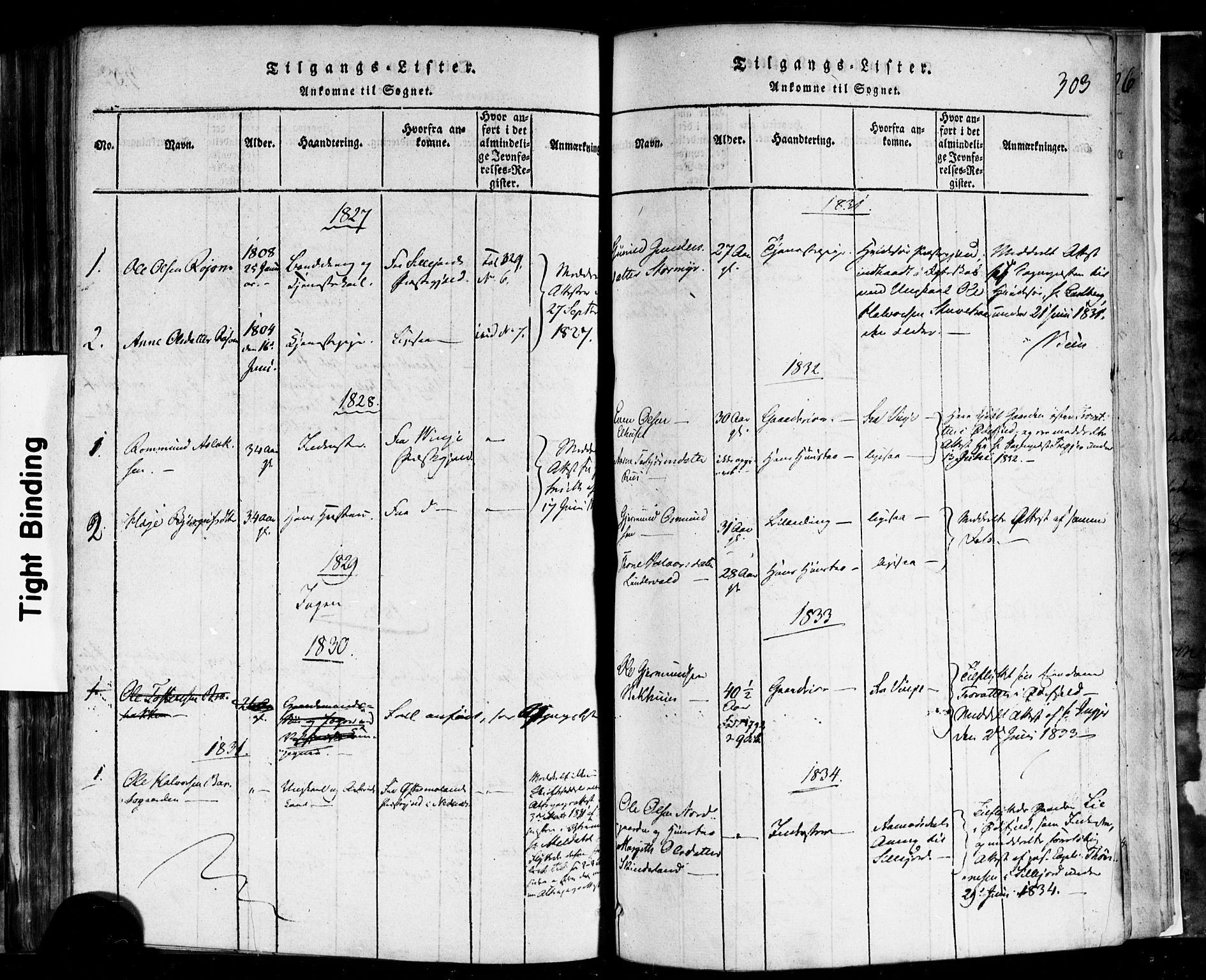 Rauland kirkebøker, SAKO/A-292/F/Fa/L0002: Parish register (official) no. 2, 1815-1860, p. 303