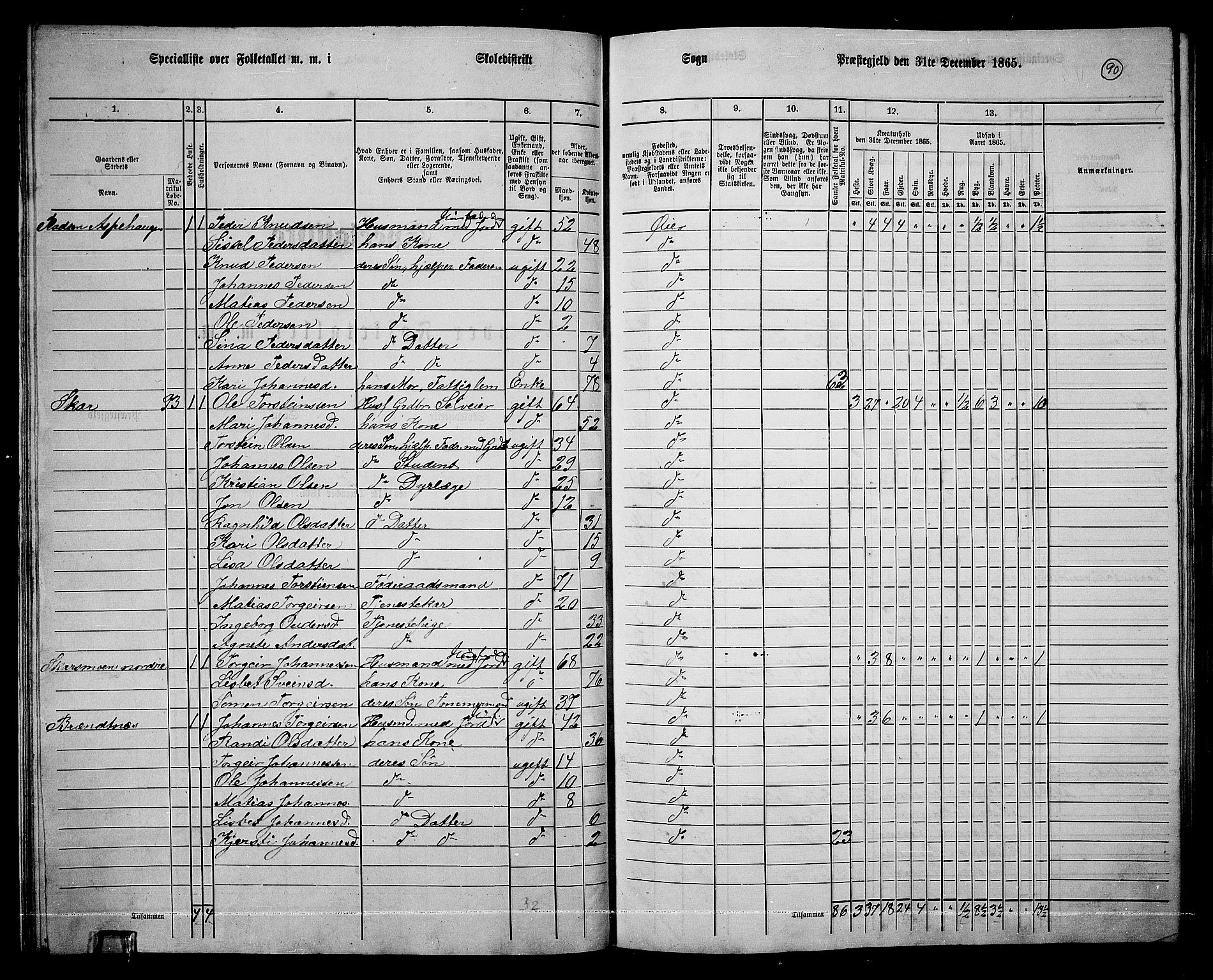 RA, 1865 census for Øyer, 1865, p. 81