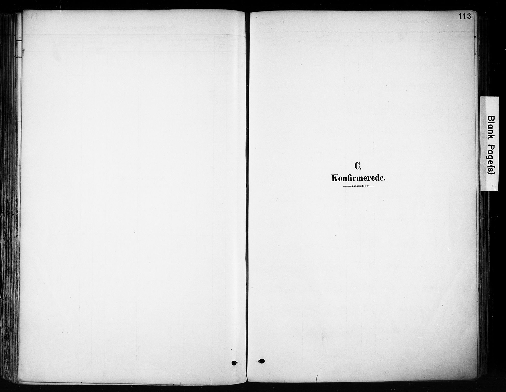 Biri prestekontor, SAH/PREST-096/H/Ha/Haa/L0009: Parish register (official) no. 9, 1887-1900, p. 113