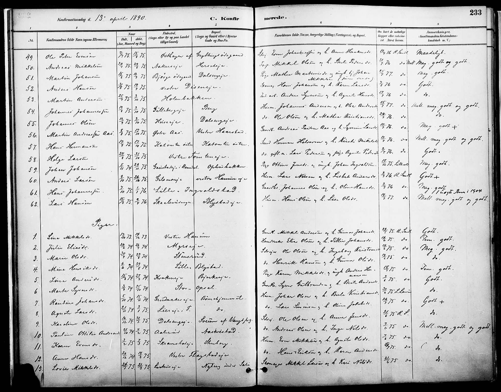 Vang prestekontor, Hedmark, AV/SAH-PREST-008/H/Ha/Haa/L0019A: Parish register (official) no. 19, 1886-1900, p. 233