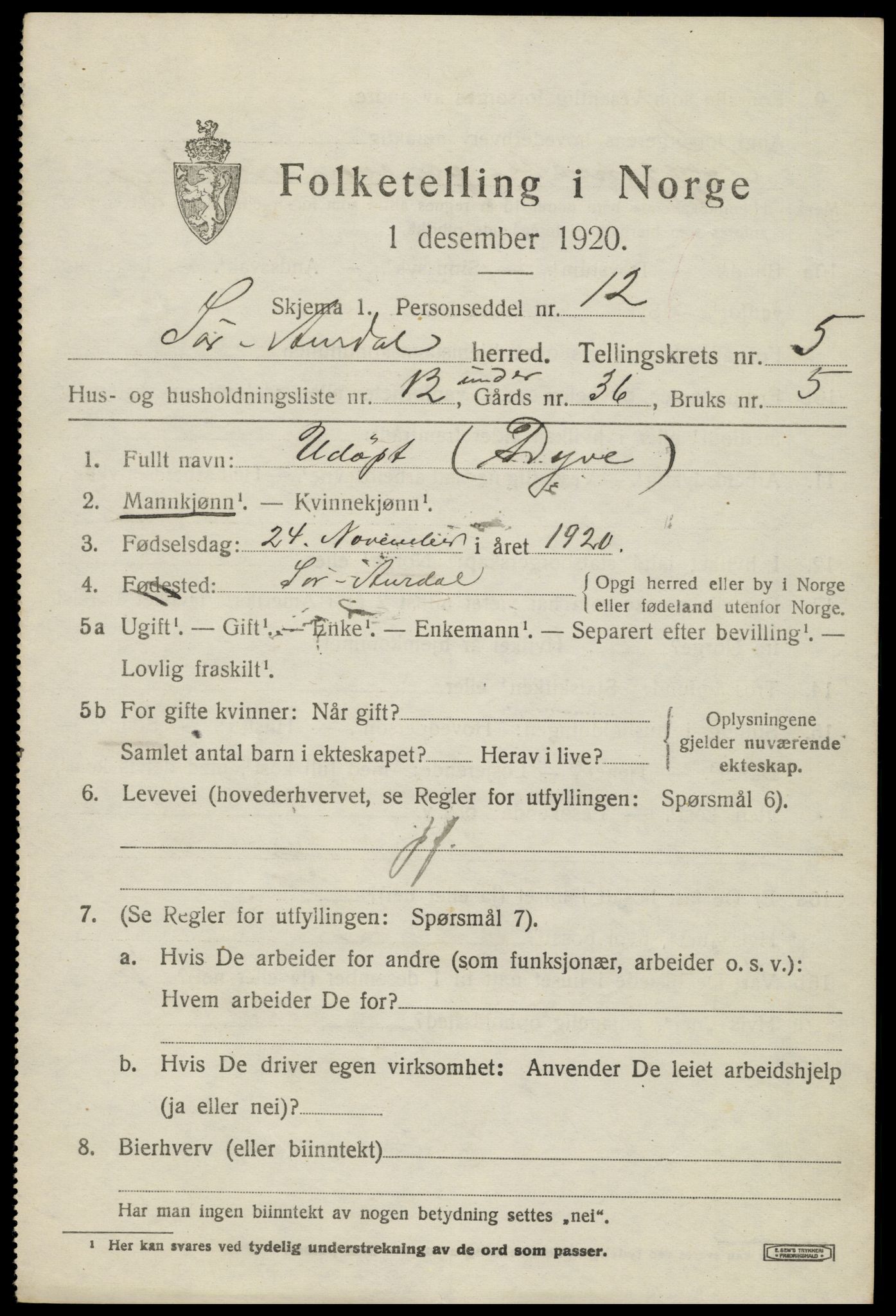 SAH, 1920 census for Sør-Aurdal, 1920, p. 2893