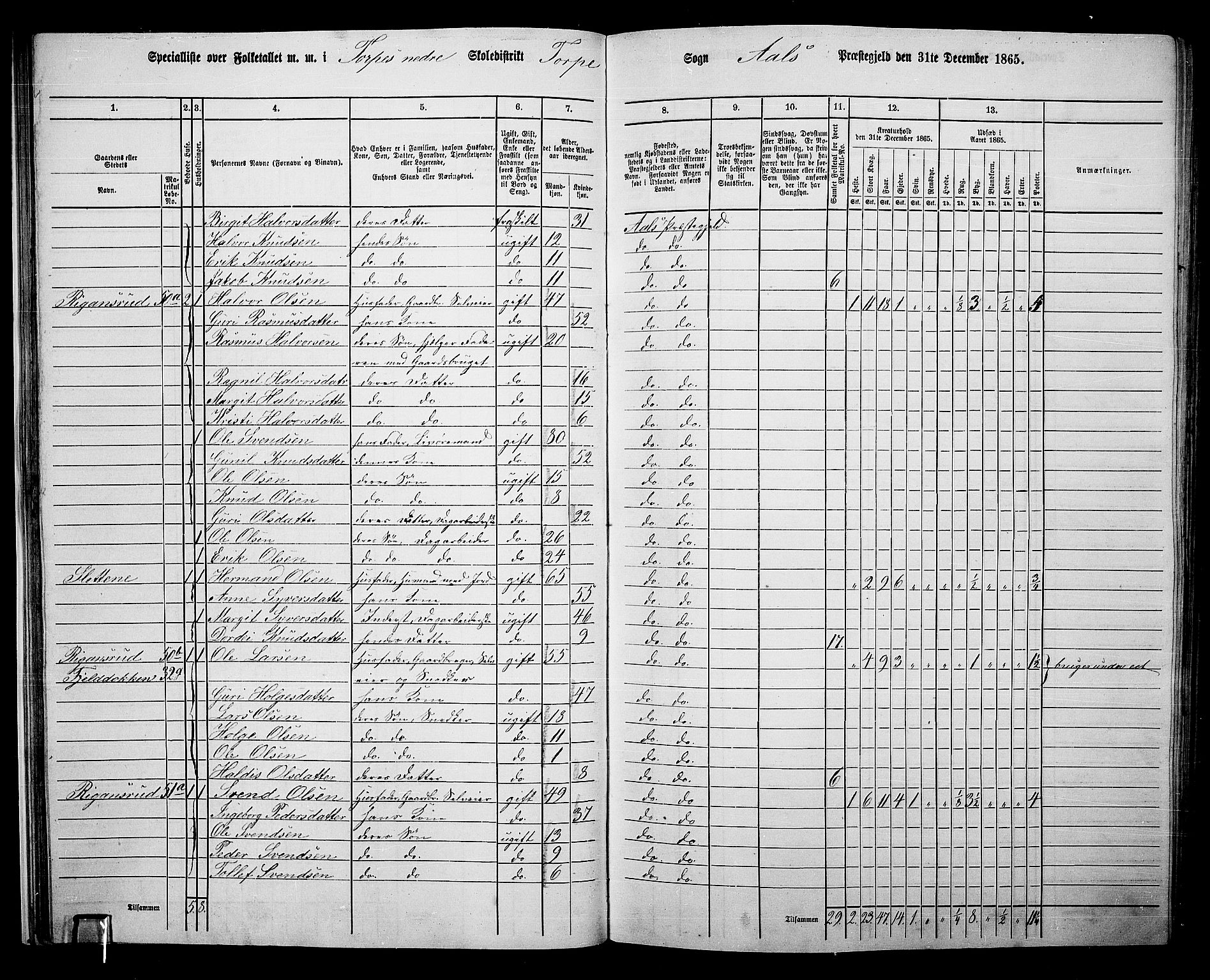 RA, 1865 census for Ål, 1865, p. 39