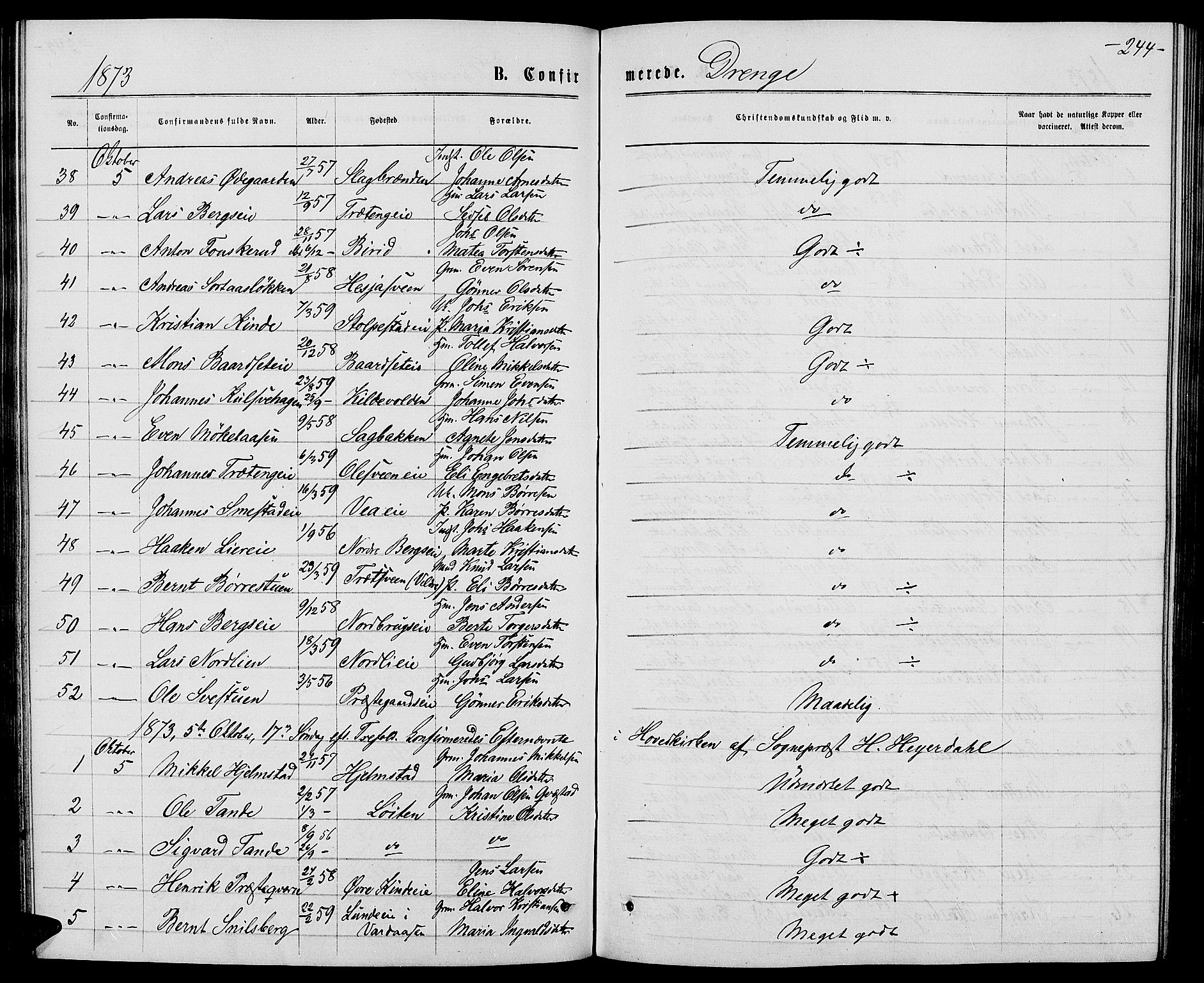 Ringsaker prestekontor, AV/SAH-PREST-014/L/La/L0008: Parish register (copy) no. 8, 1870-1878, p. 244