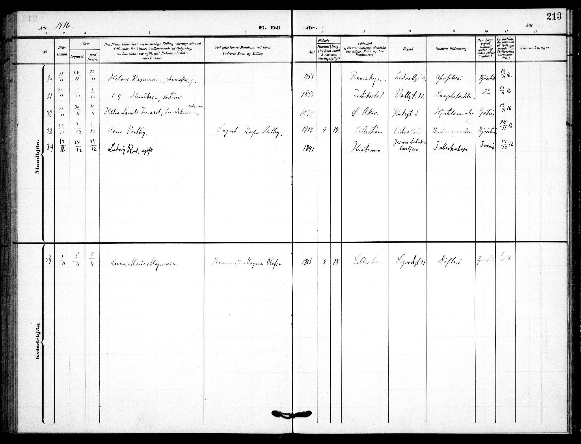 Skedsmo prestekontor Kirkebøker, AV/SAO-A-10033a/F/Fc/L0001: Parish register (official) no. III 1, 1908-1916, p. 213