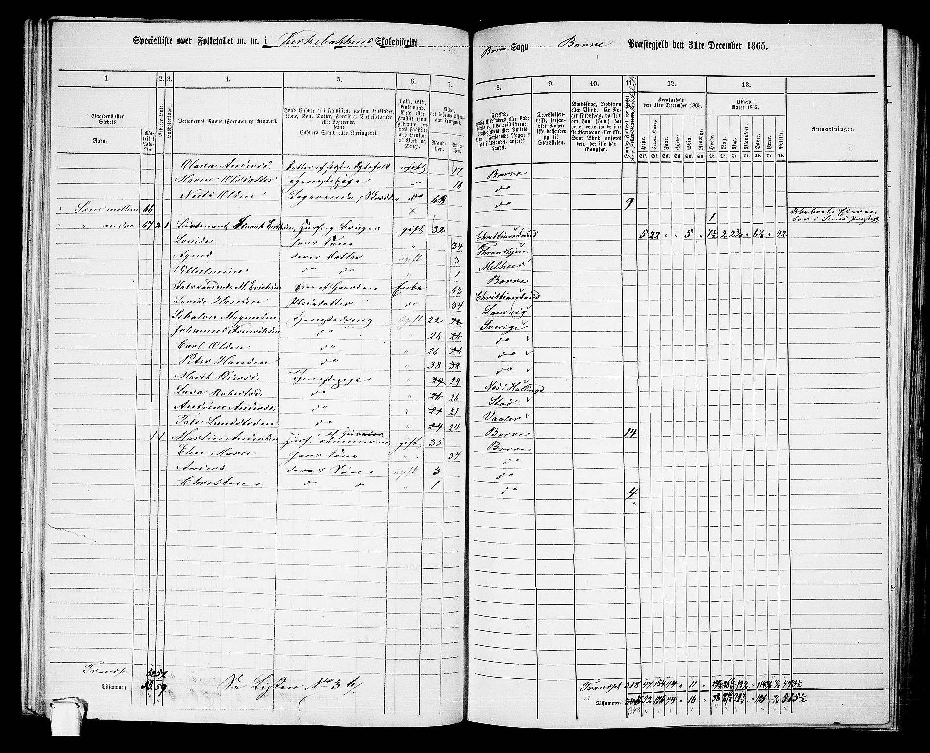 RA, 1865 census for Borre, 1865, p. 74