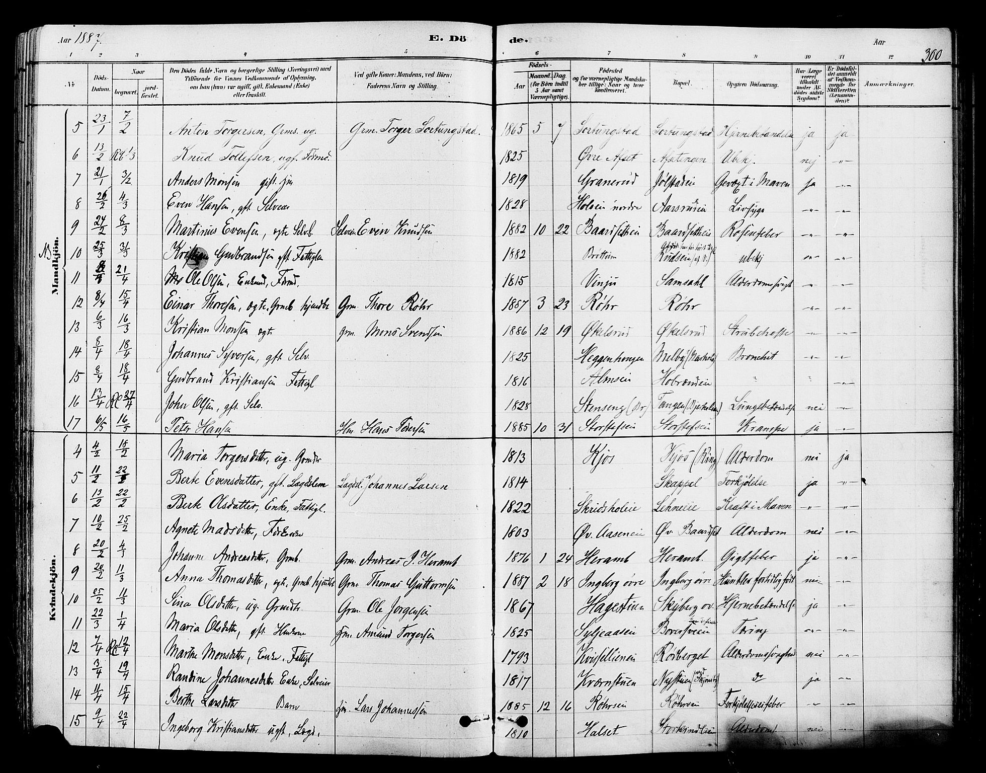 Ringsaker prestekontor, AV/SAH-PREST-014/L/La/L0009: Parish register (copy) no. 9, 1879-1890, p. 300