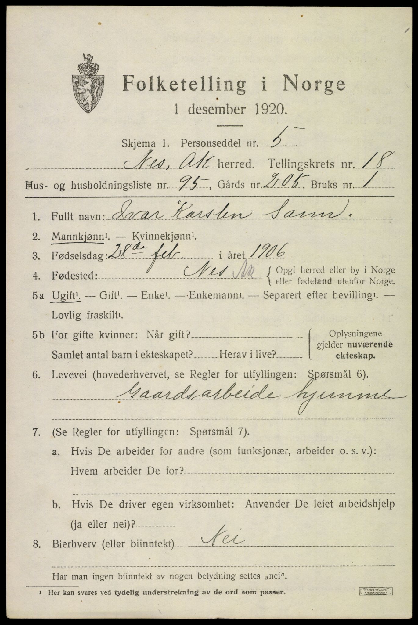 SAO, 1920 census for Nes, 1920, p. 18880