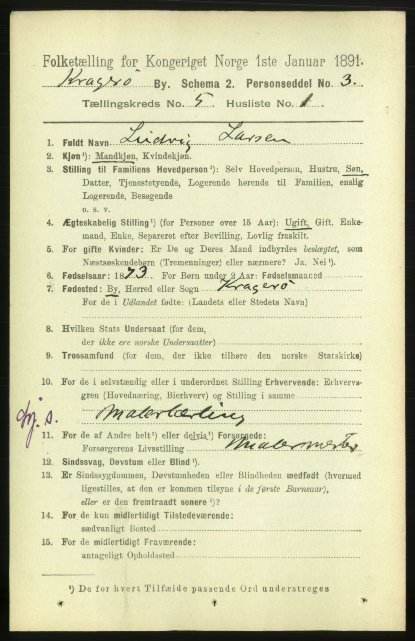 RA, 1891 census for 0801 Kragerø, 1891, p. 3013