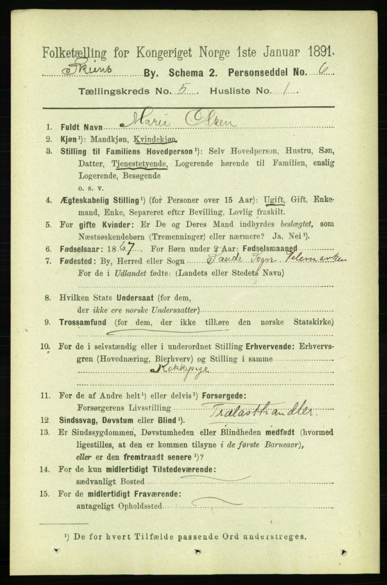 RA, 1891 census for 0806 Skien, 1891, p. 2886