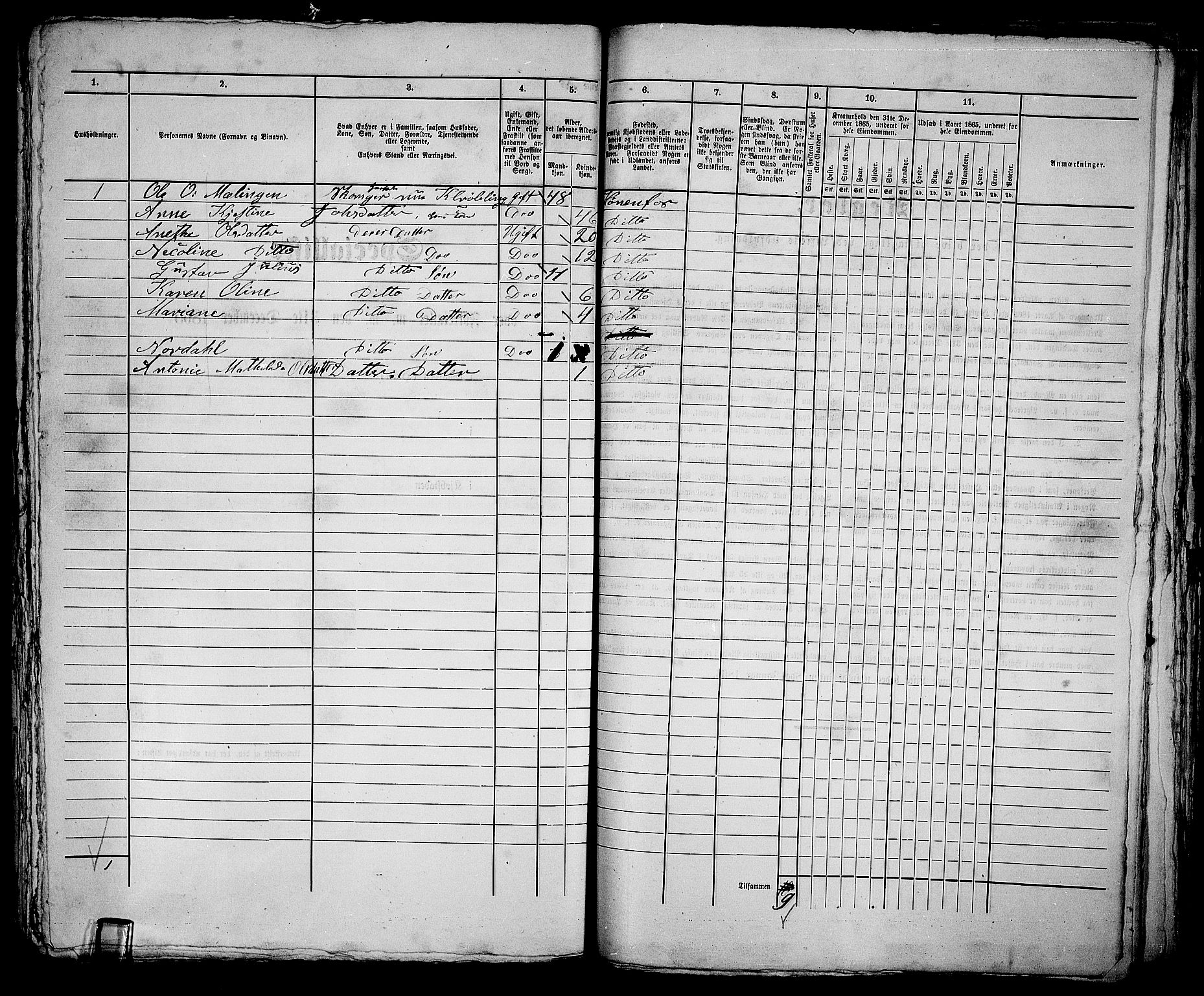 RA, 1865 census for Norderhov/Hønefoss, 1865, p. 271