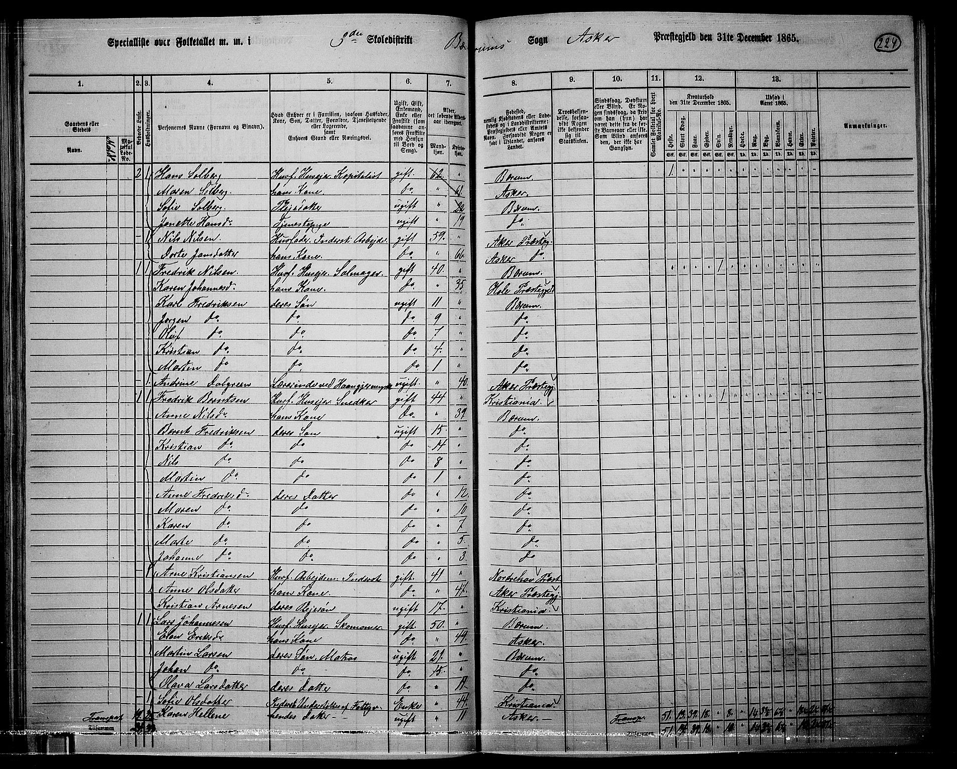 RA, 1865 census for Asker, 1865, p. 216