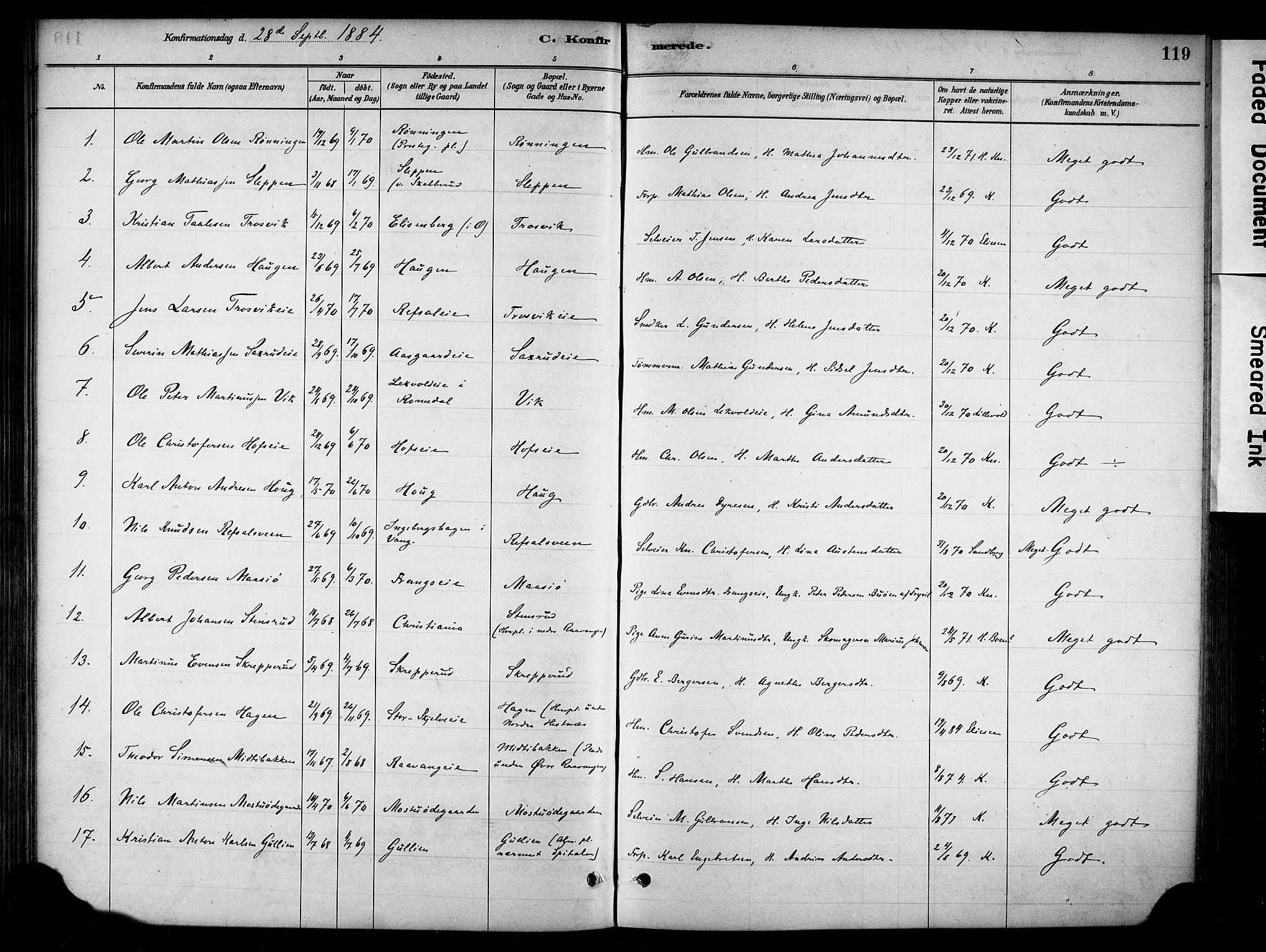 Stange prestekontor, SAH/PREST-002/K/L0018: Parish register (official) no. 18, 1880-1896, p. 119