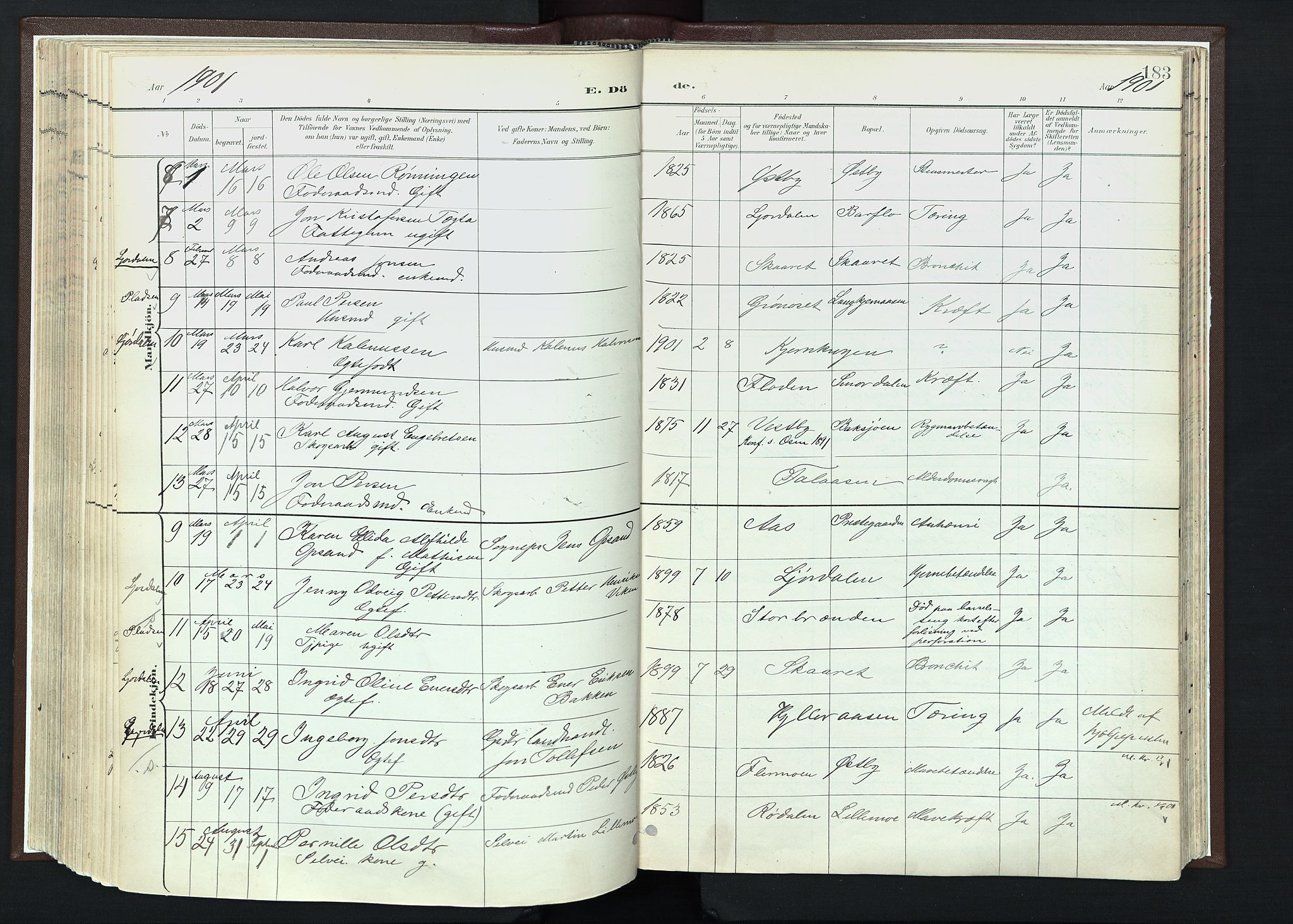 Trysil prestekontor, SAH/PREST-046/H/Ha/Haa/L0013: Parish register (official) no. 13, 1898-1911, p. 183