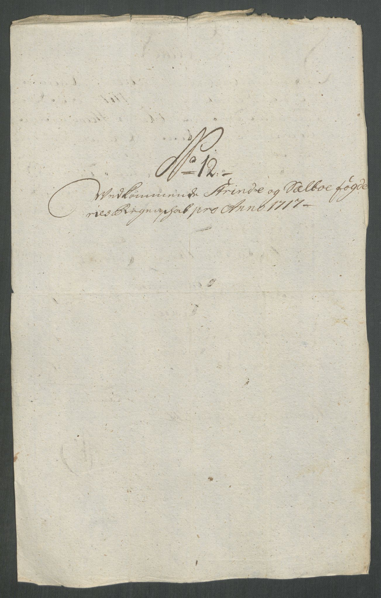 Rentekammeret inntil 1814, Reviderte regnskaper, Fogderegnskap, RA/EA-4092/R61/L4116: Fogderegnskap Strinda og Selbu, 1717-1718, p. 128