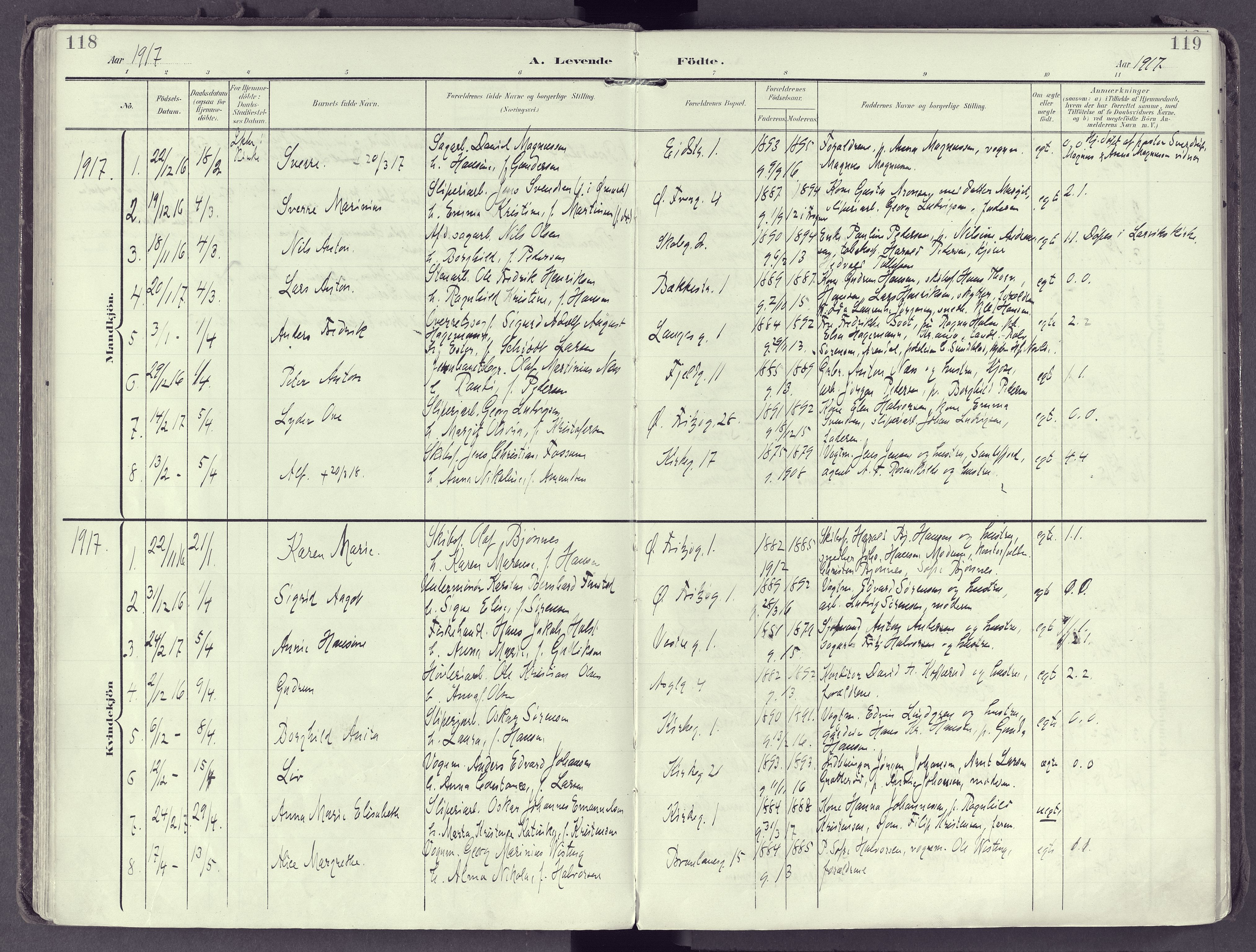 Larvik kirkebøker, SAKO/A-352/F/Fb/L0005: Parish register (official) no. II 5, 1903-1925, p. 118-119