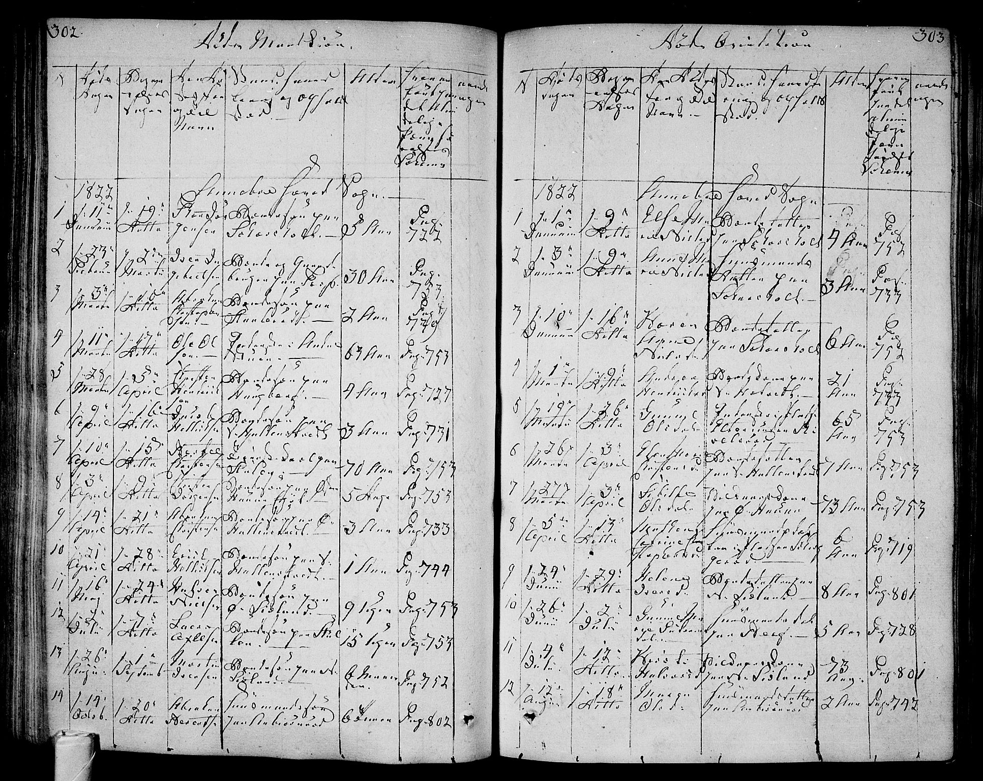 Andebu kirkebøker, AV/SAKO-A-336/F/Fa/L0003: Parish register (official) no. 3 /1, 1803-1828, p. 302-303