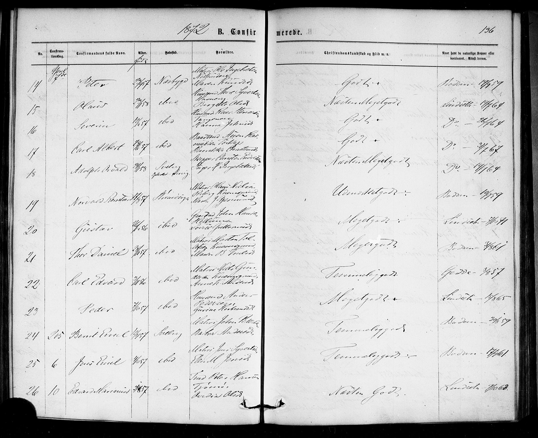 Strømm kirkebøker, AV/SAKO-A-322/F/Fa/L0002: Parish register (official) no. I 2, 1870-1877, p. 136