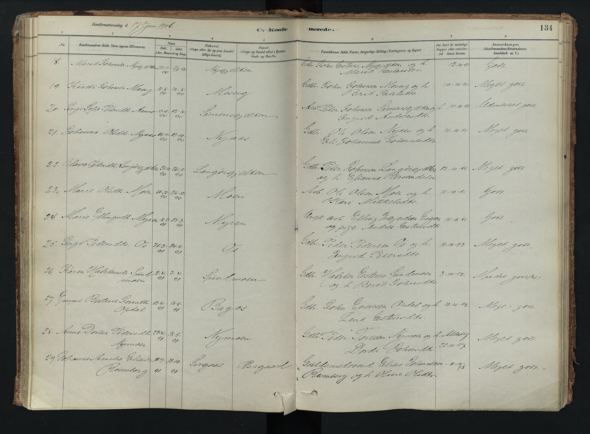 Tolga prestekontor, SAH/PREST-062/K/L0008: Parish register (official) no. 8, 1877-1910, p. 134